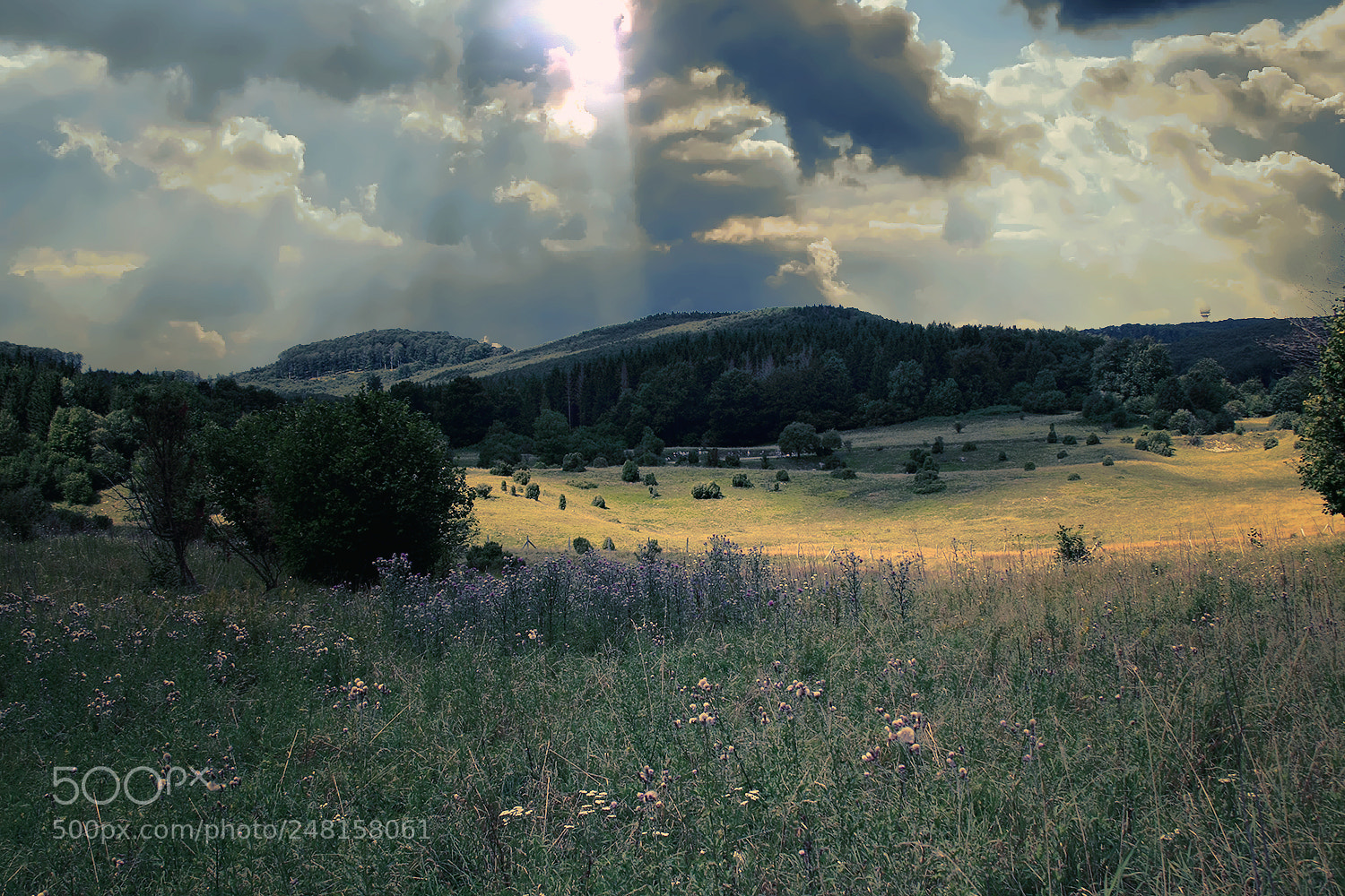 Canon EOS 40D sample photo. Storm is comes photography