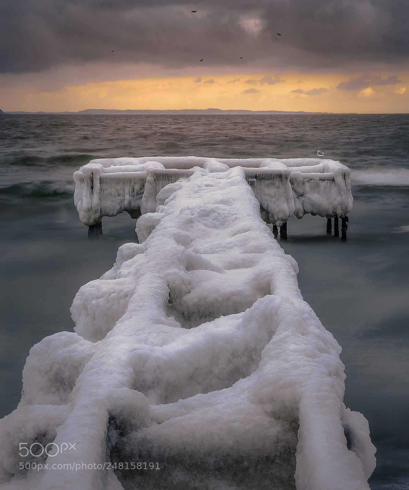 Sony a7 sample photo. Winter doing it's thing photography