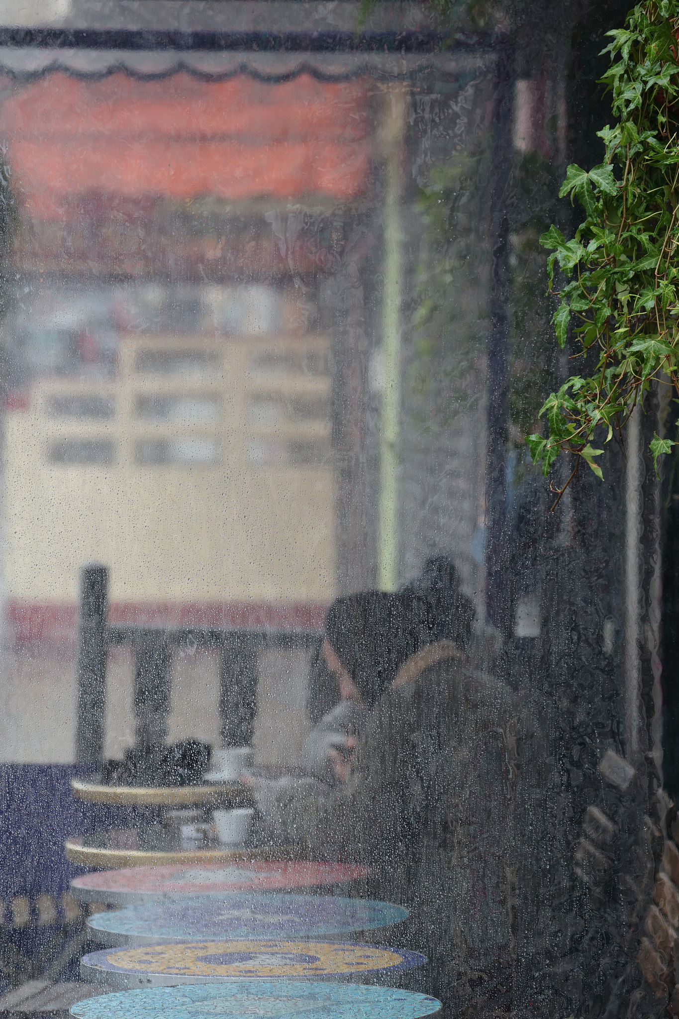 Canon EF 70-300mm F4-5.6L IS USM sample photo. Friendly rainy sunday photography