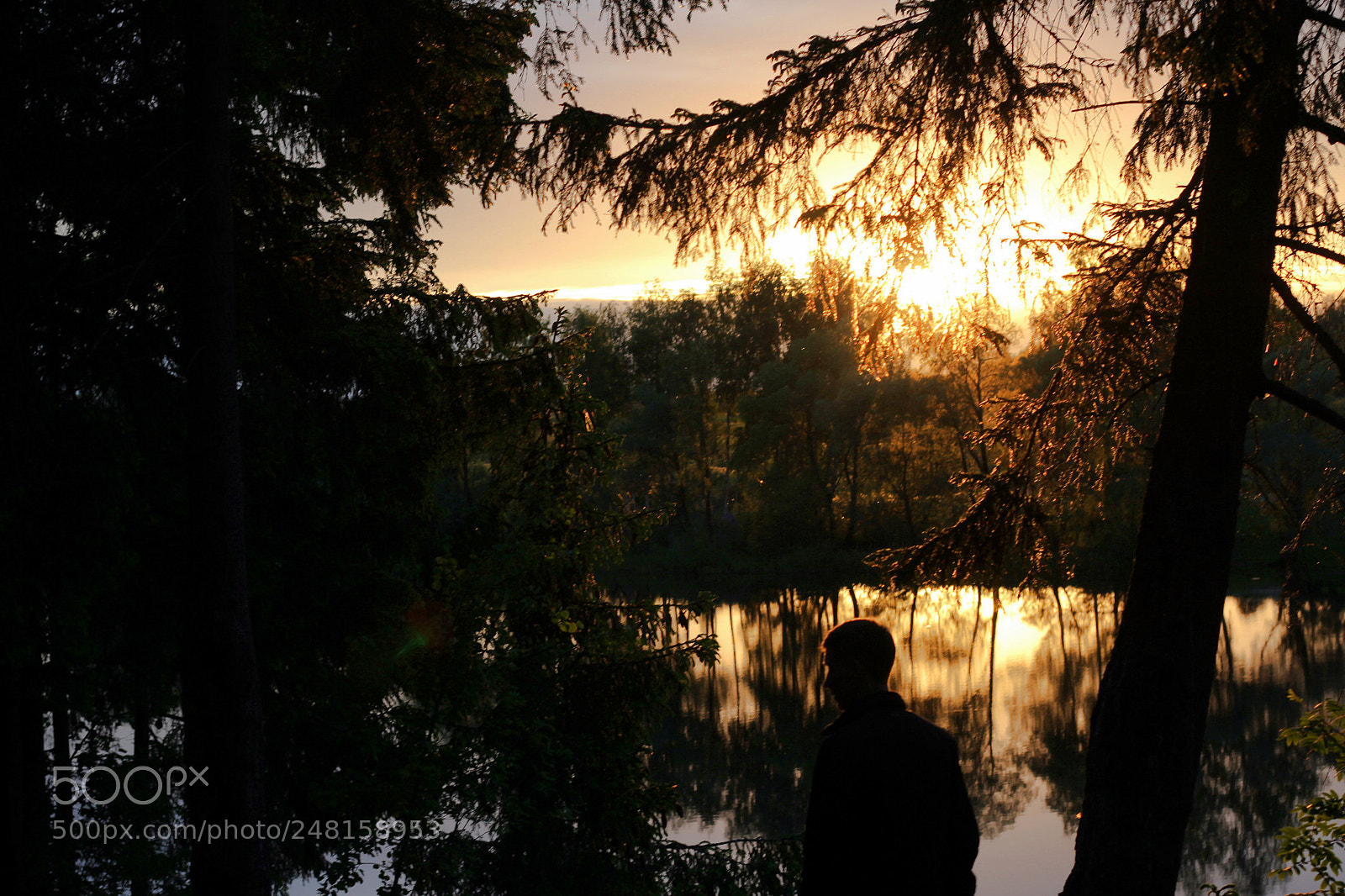 Canon EOS 60D + Canon EF 50mm F1.8 STM sample photo. 1.jpg photography