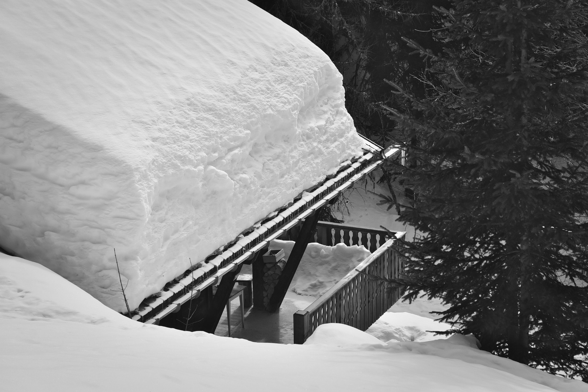 Nikon D7200 sample photo. Winter home photography