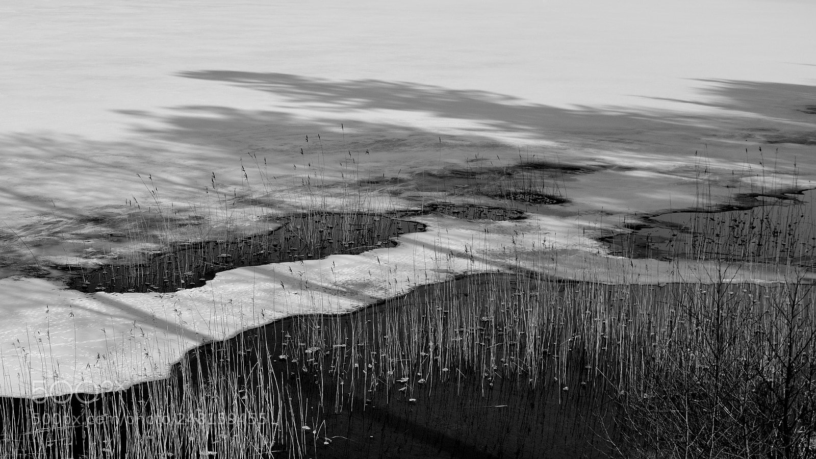 Nikon D5200 sample photo. Ice and shadows on photography