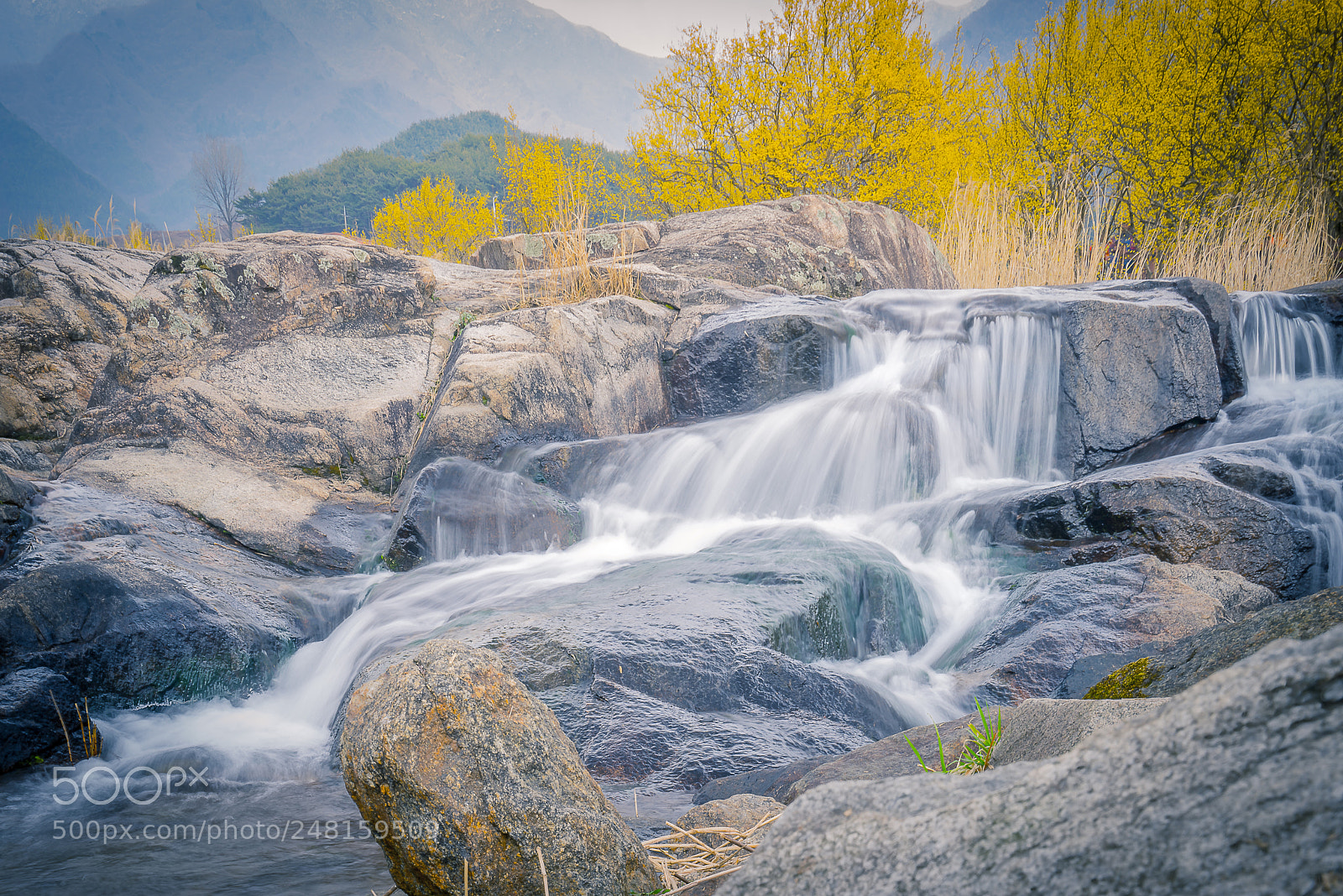 Sony a7R sample photo. Spring photography