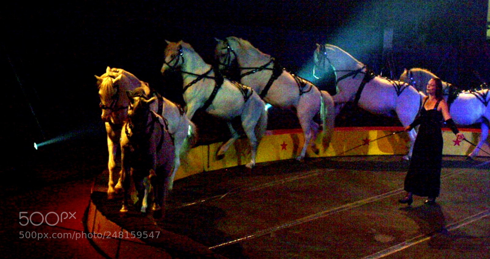Olympus E-520 (EVOLT E-520) sample photo. Cirque estival in halifax photography