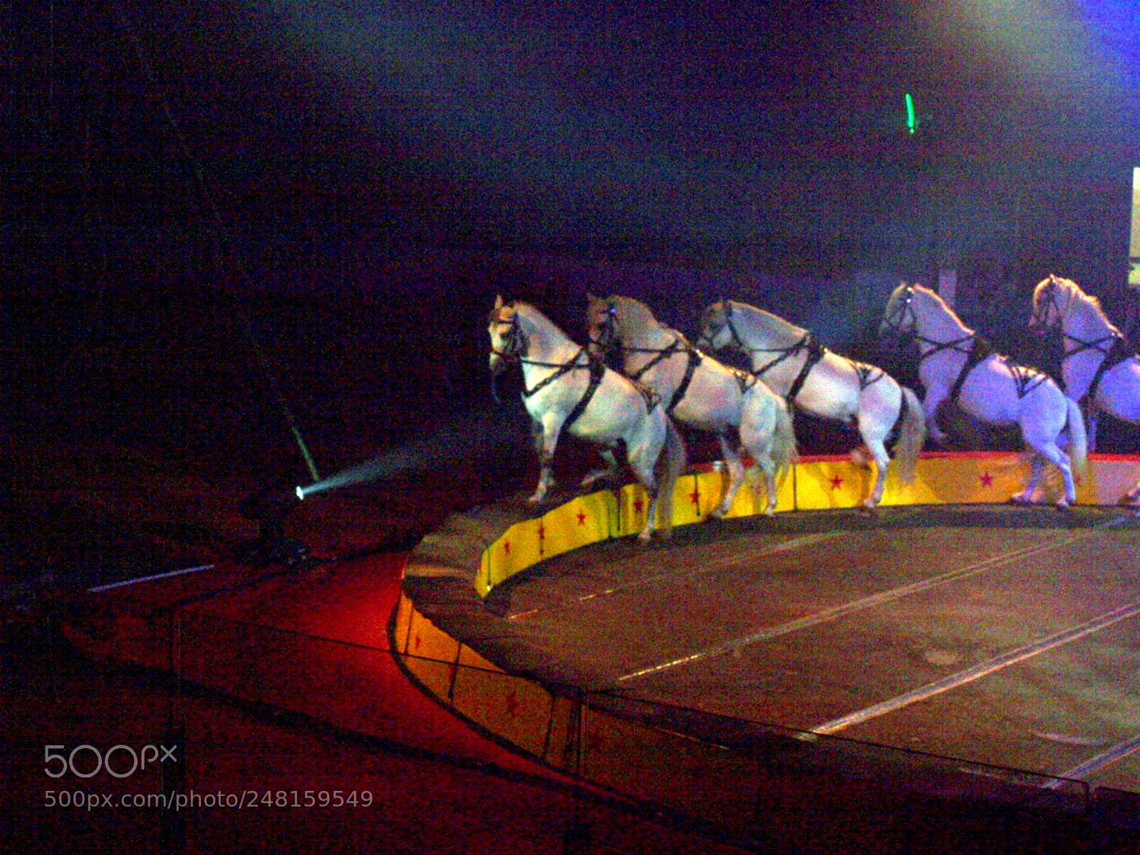 Olympus E-520 (EVOLT E-520) sample photo. Cirque estival in halifax photography