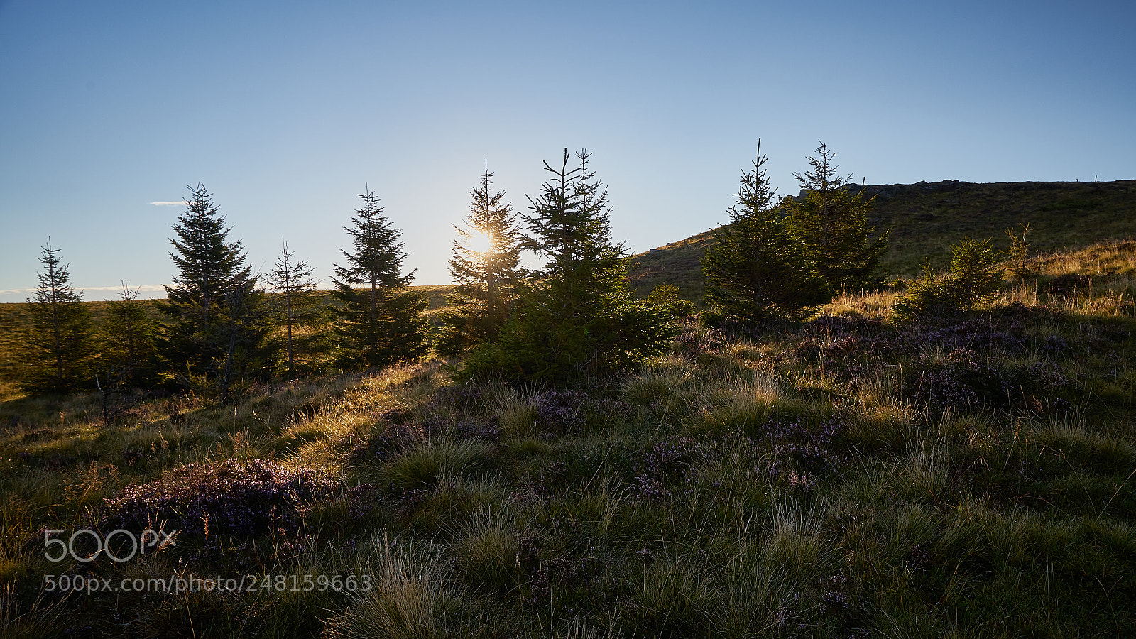 Sony a7 II sample photo. Chambourget hike #3 photography