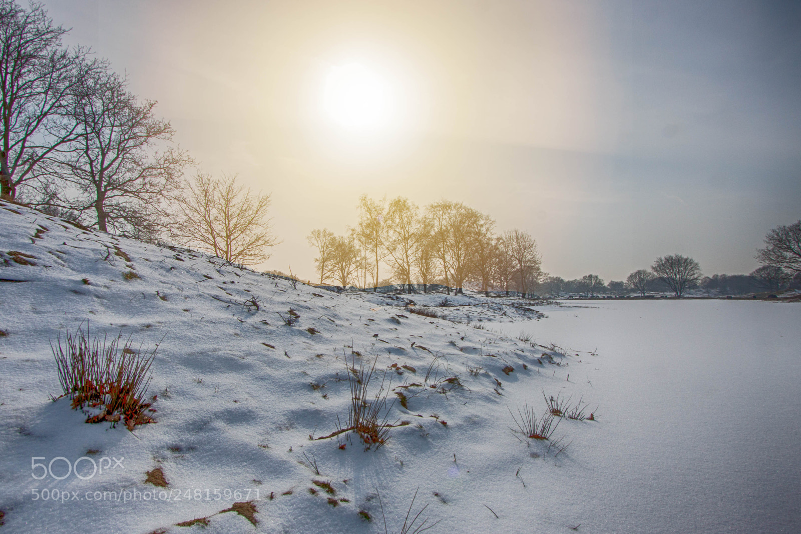 Canon EOS 50D sample photo. Snow afternoon photography
