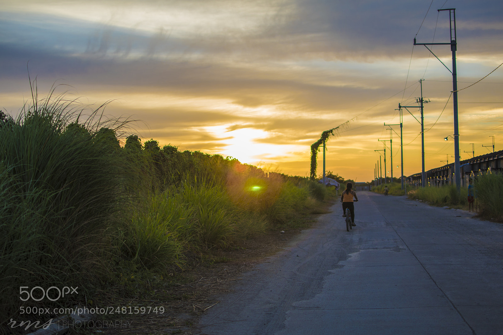 Nikon D5600 sample photo. Riding in sunset photography