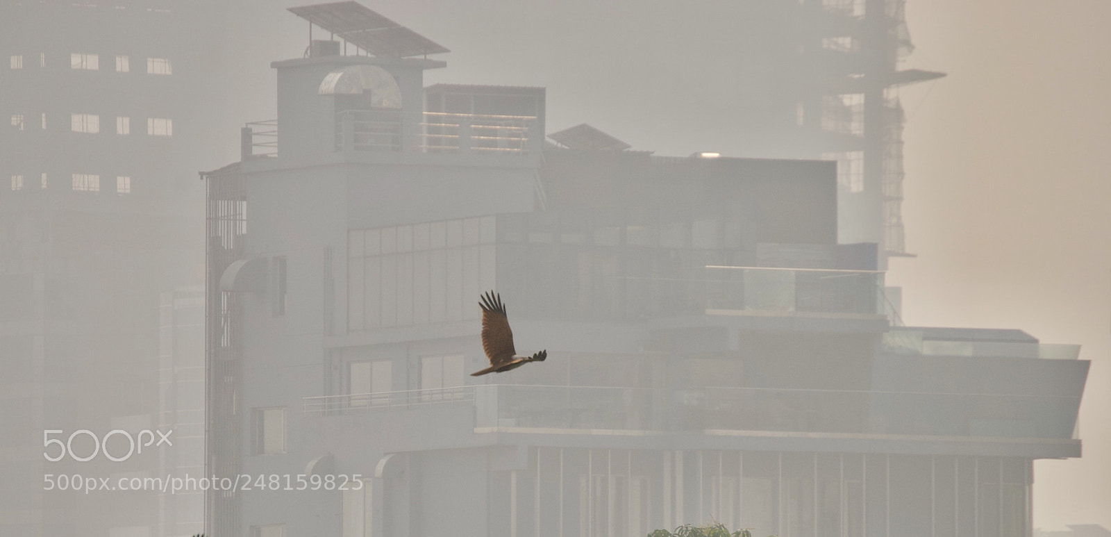 Nikon D3000 sample photo. Soaring photography
