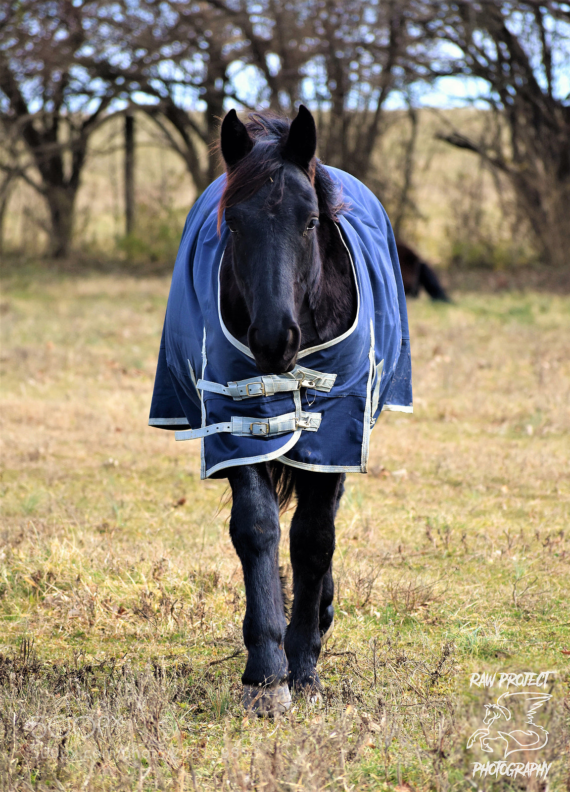 Nikon D3400 sample photo. () copy photography