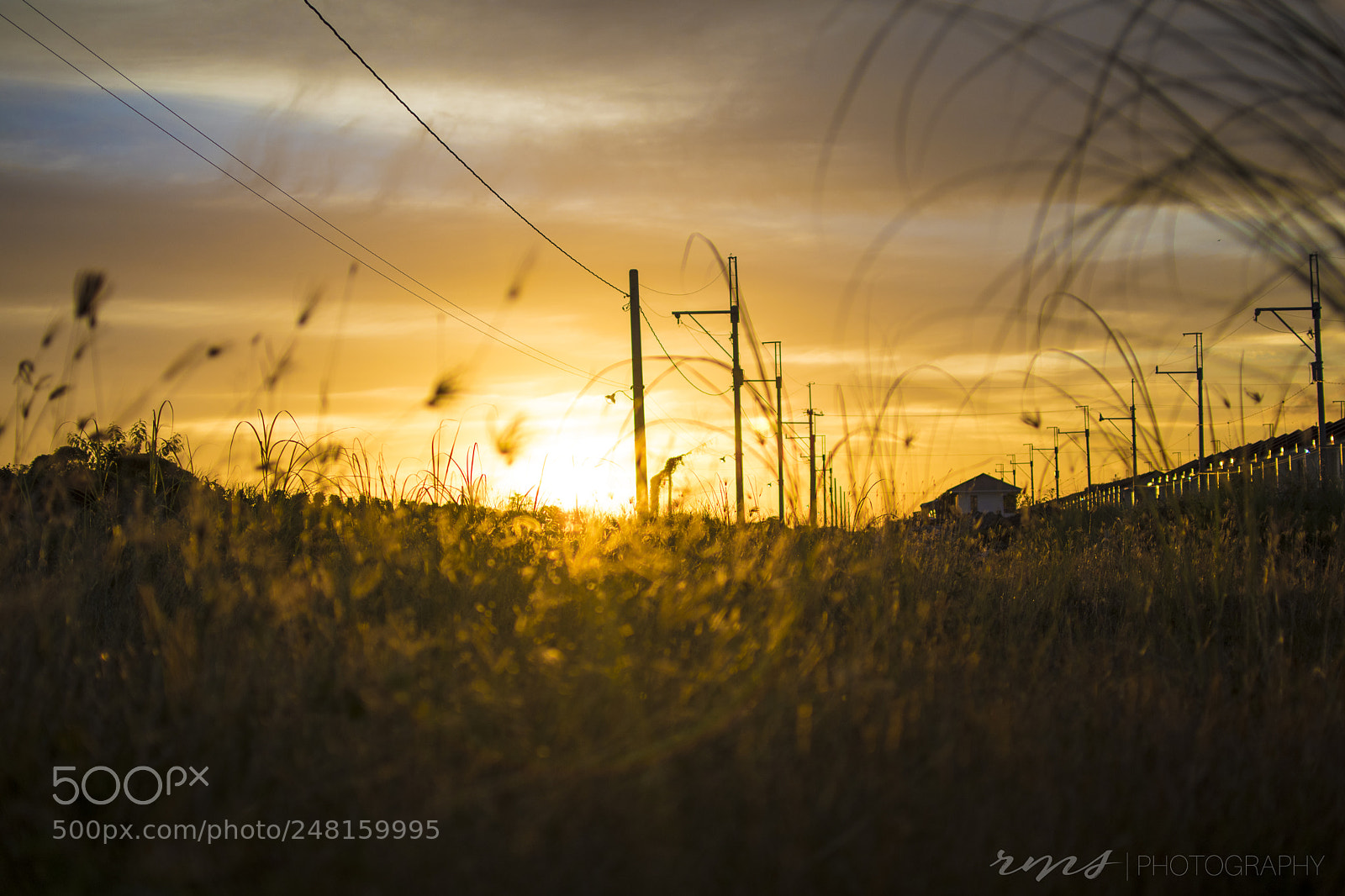 Nikon D5600 sample photo. Jade sunset photography