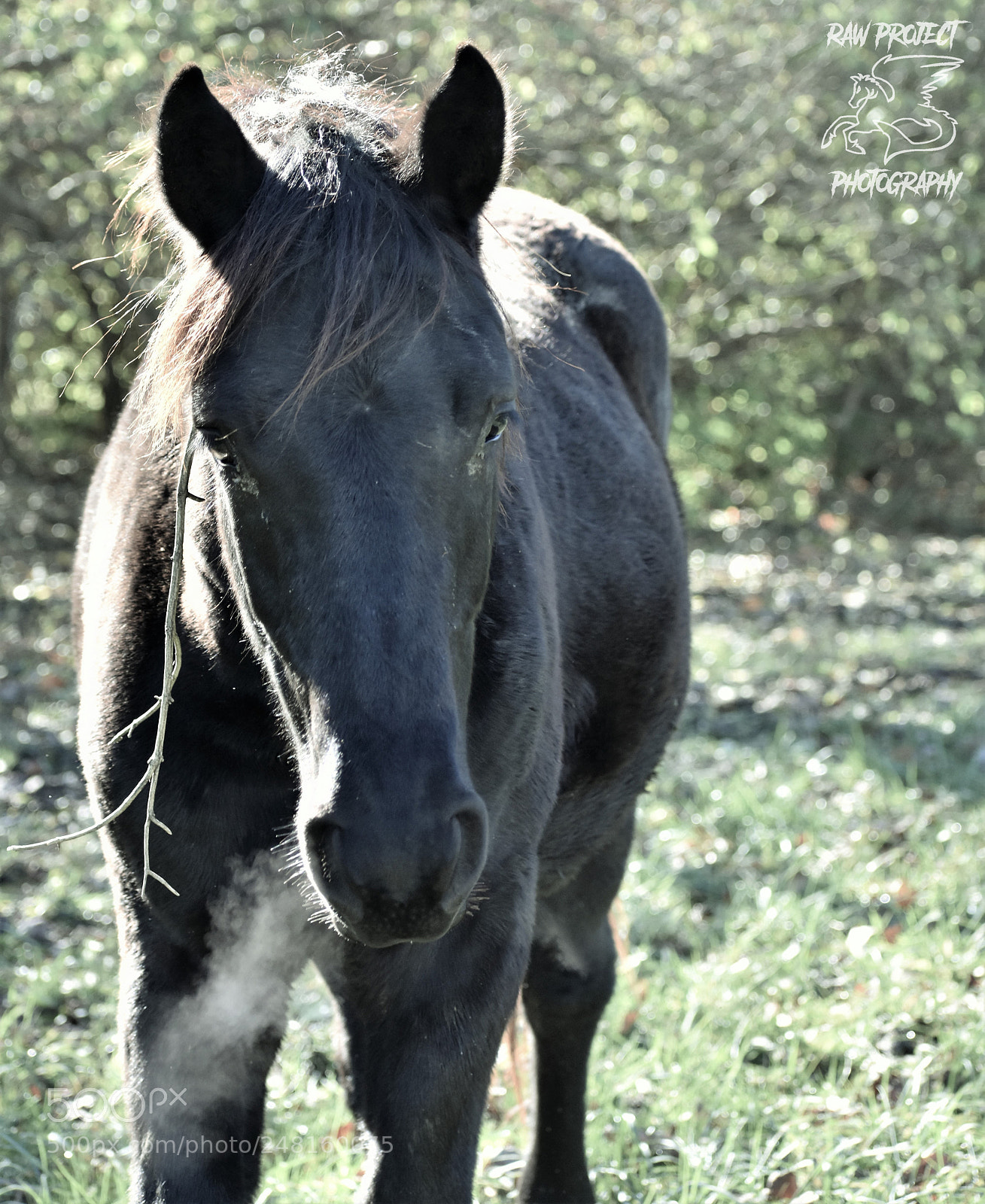 Nikon D3400 sample photo. () photography