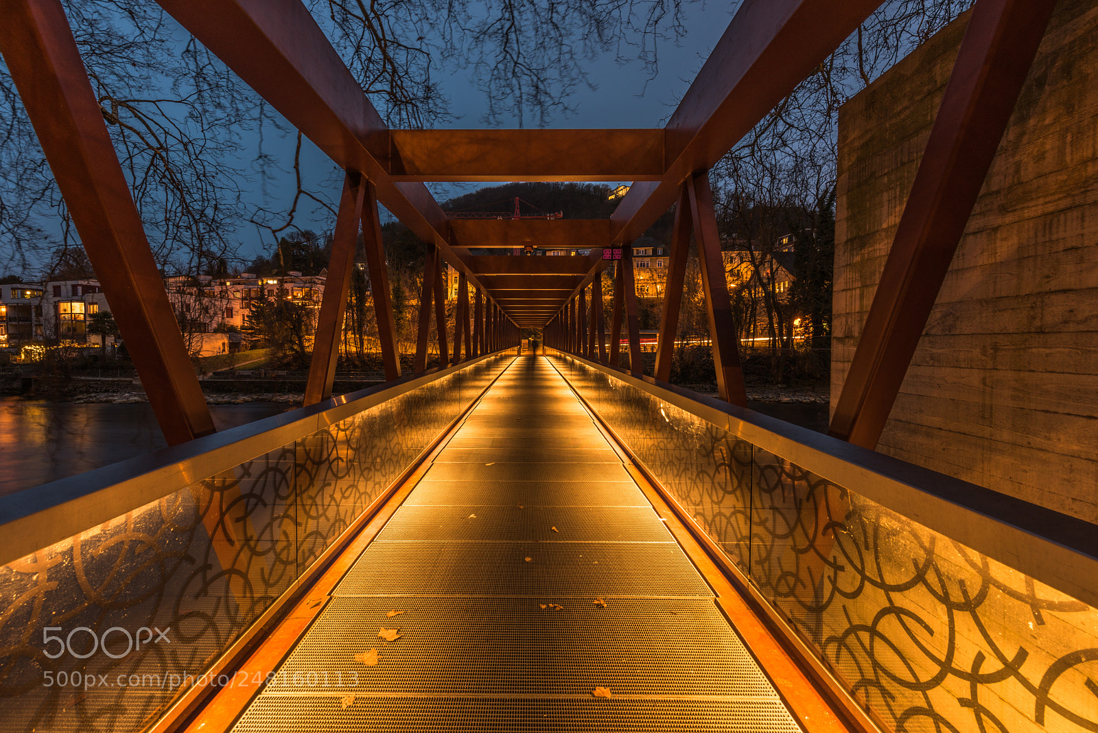 Nikon D810 sample photo. The bridge photography