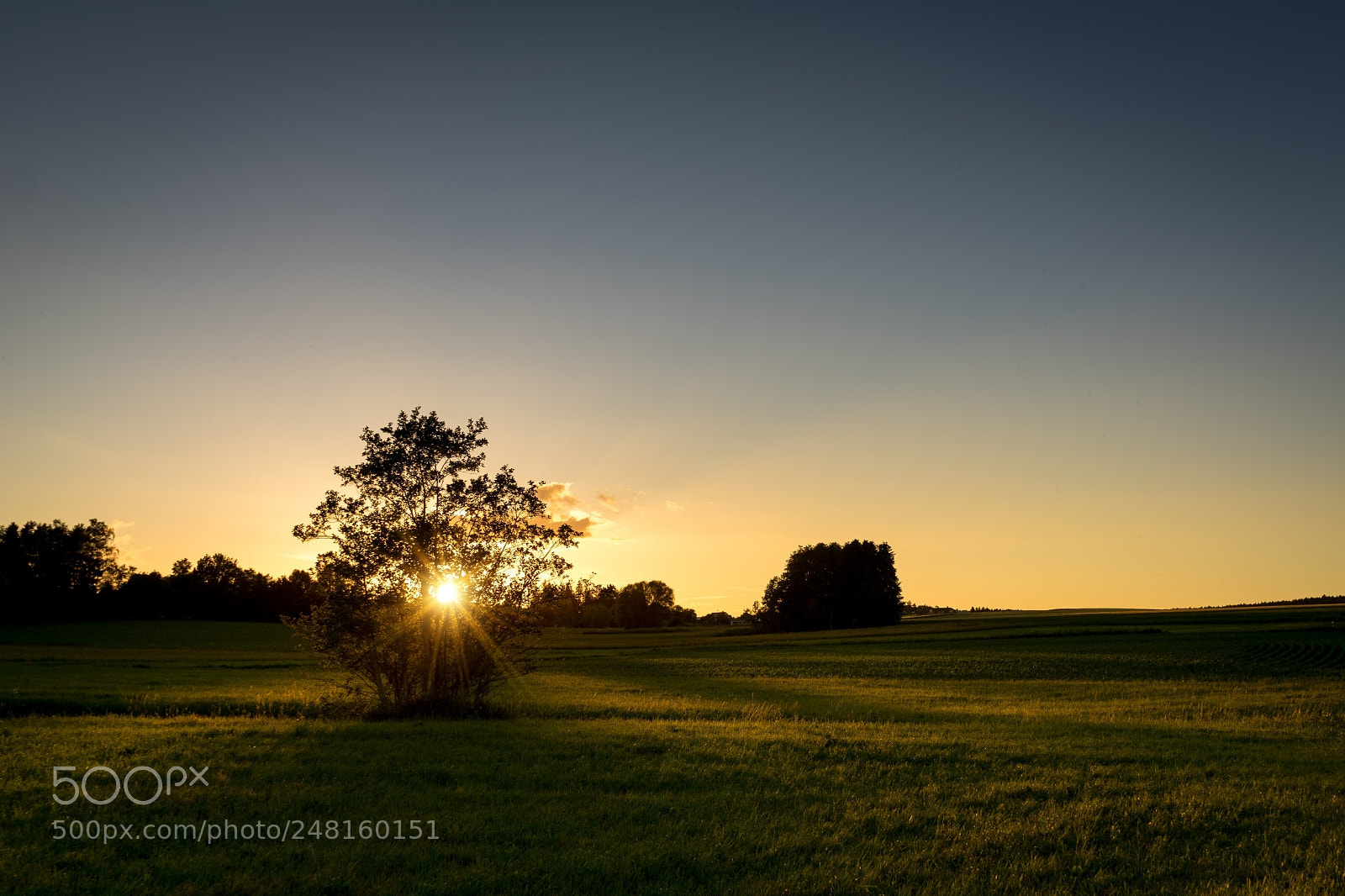 Sony a7 II sample photo. Vilsheim nachtspaziergang photography