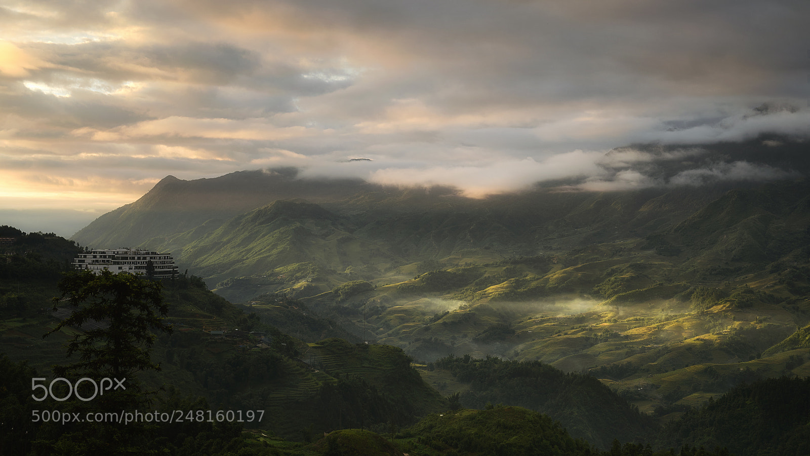 Nikon D850 sample photo. Morning light at sapa photography