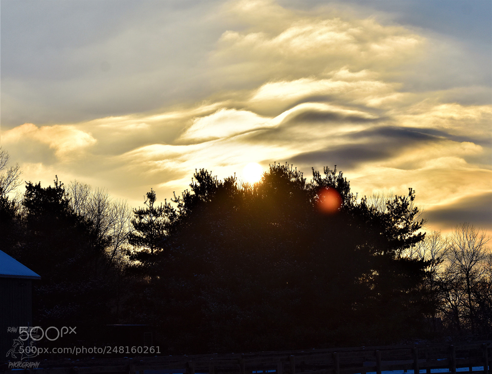 Nikon D3400 sample photo. Copy photography