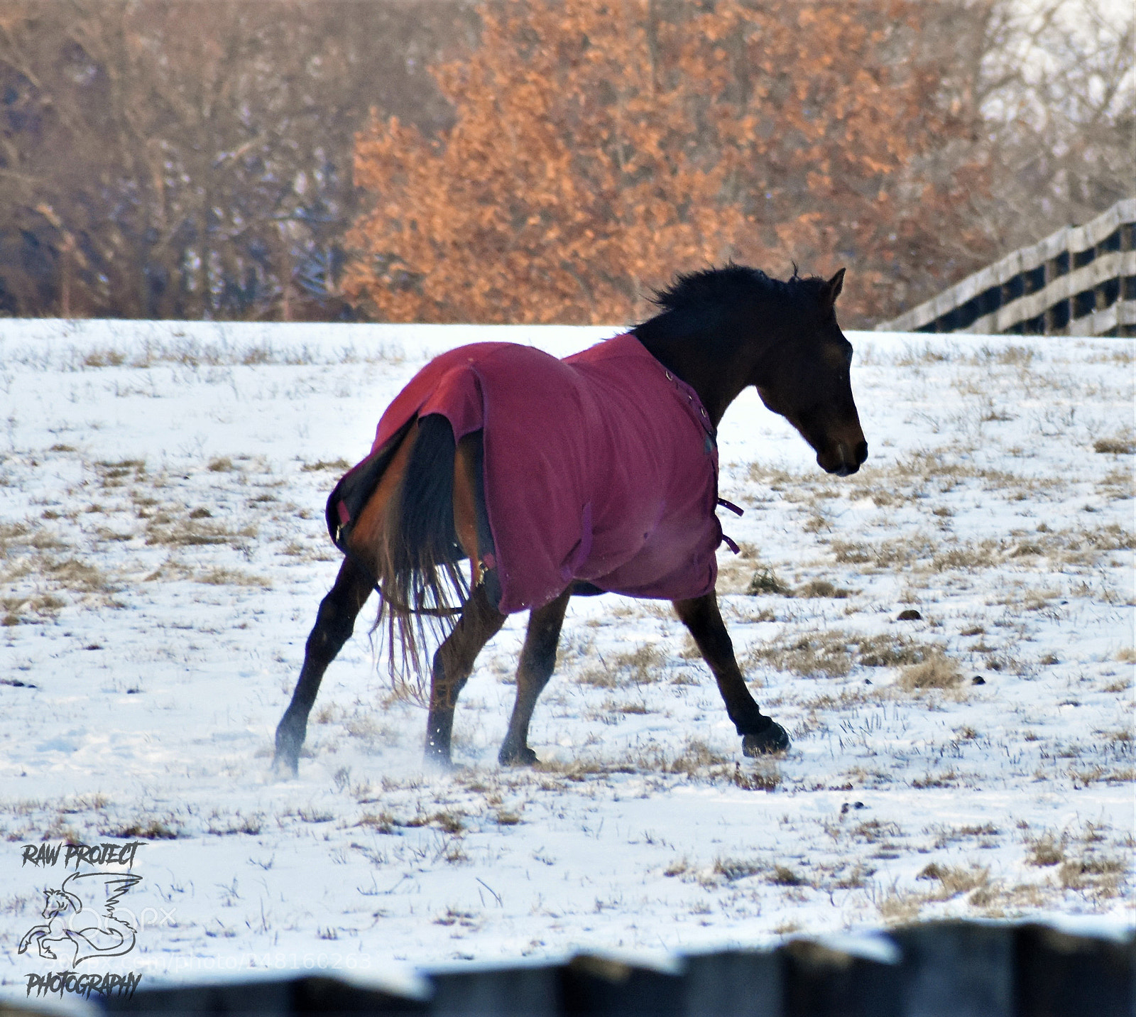 Nikon D3400 sample photo. Copy photography