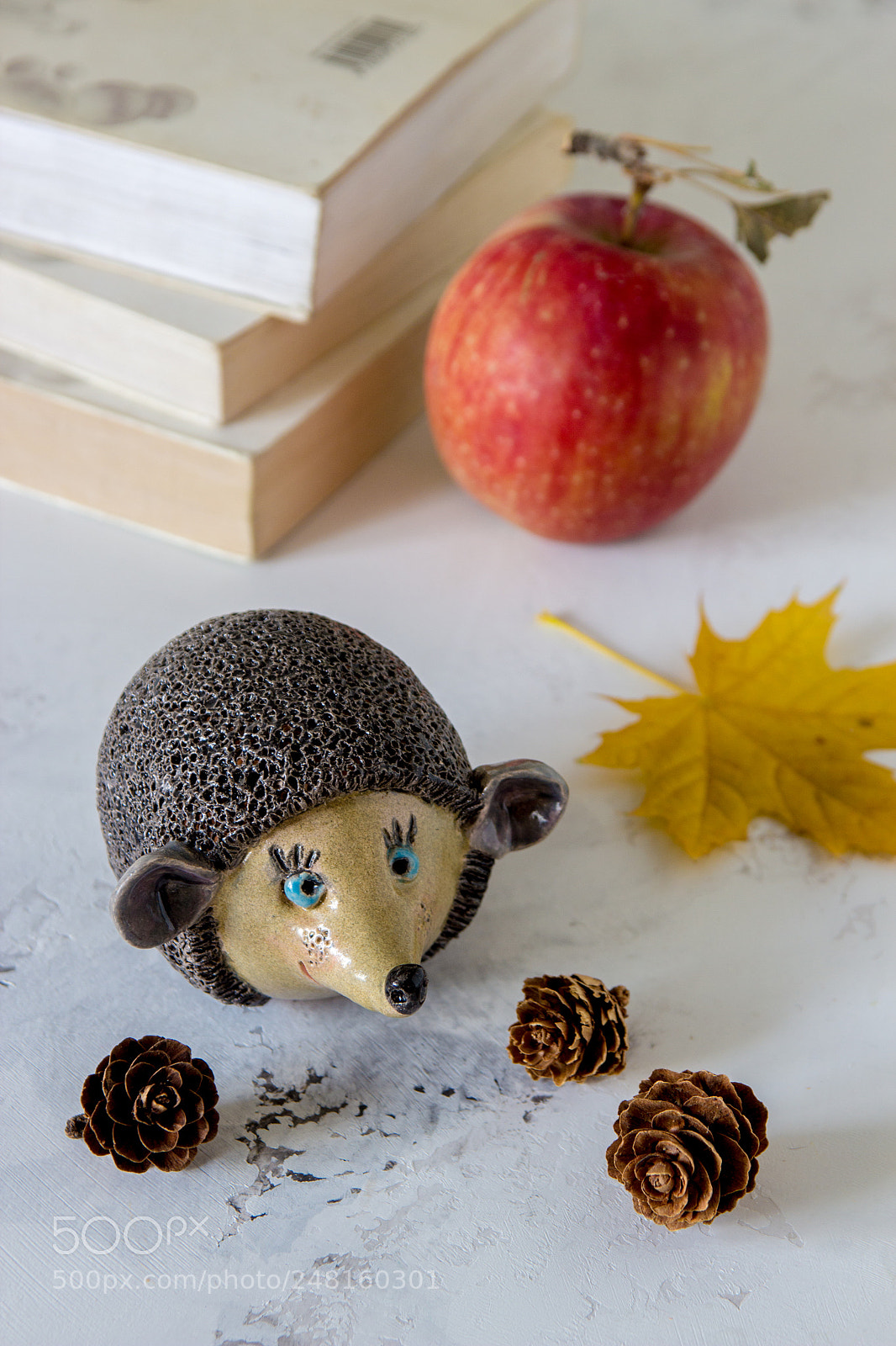 Canon EOS 600D (Rebel EOS T3i / EOS Kiss X5) sample photo. Ceramic handmade hedgehog in photography