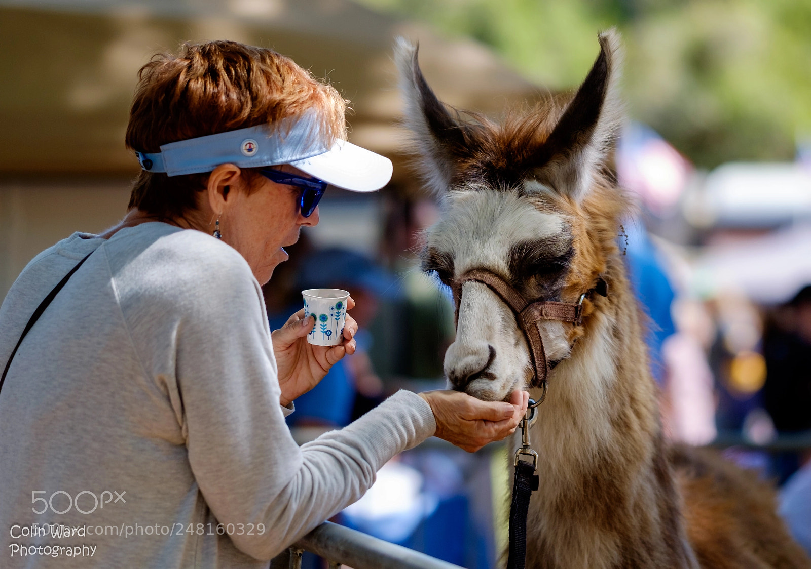 Fujifilm X-T1 sample photo. Parrish chili festival photography