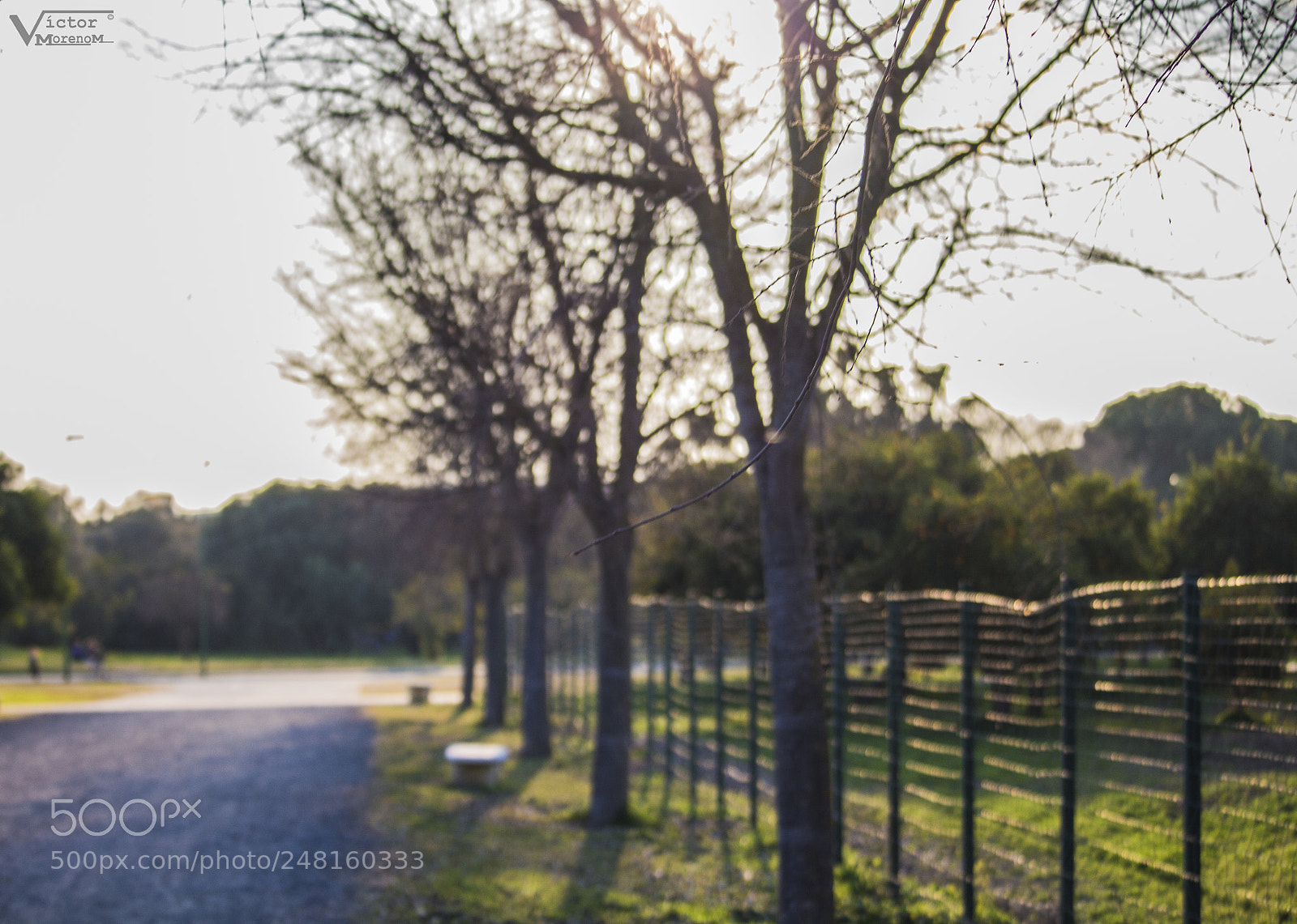 Canon EOS 700D (EOS Rebel T5i / EOS Kiss X7i) sample photo. Desenfoque en el parque photography
