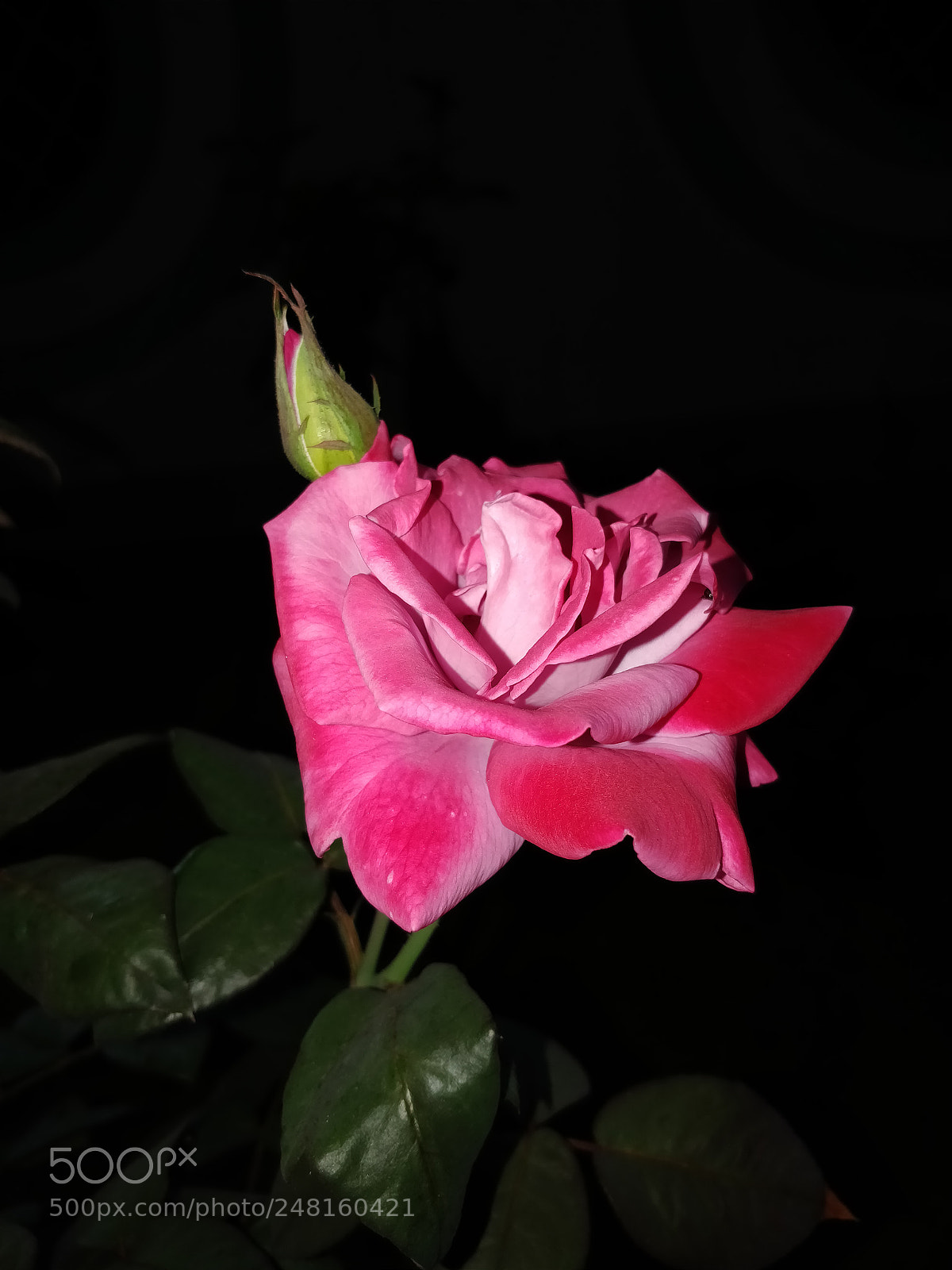 OnePlus 5T sample photo. Img_20180228_203140.jpg photography