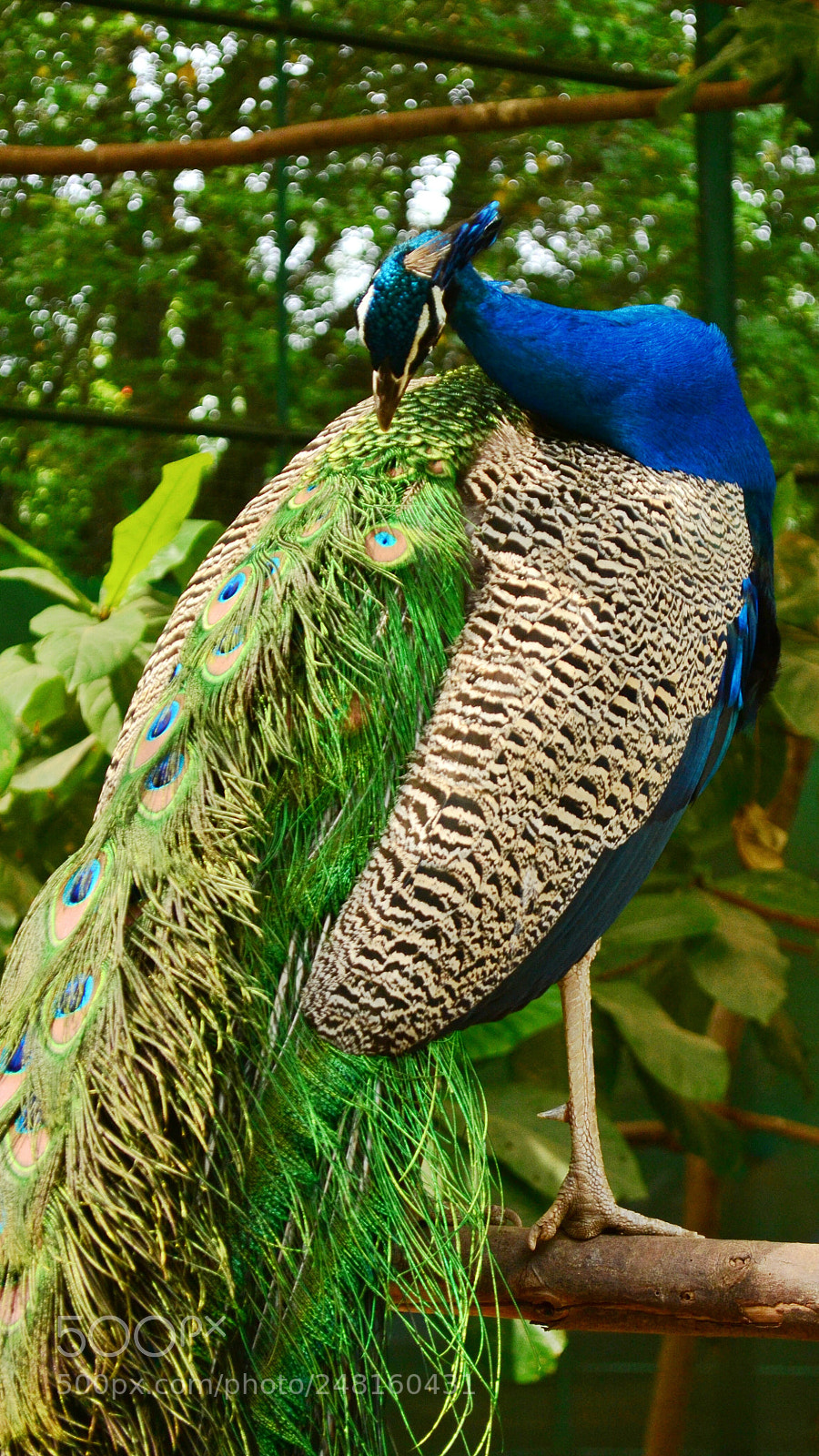 Nikon D3100 sample photo. Colourful. photography
