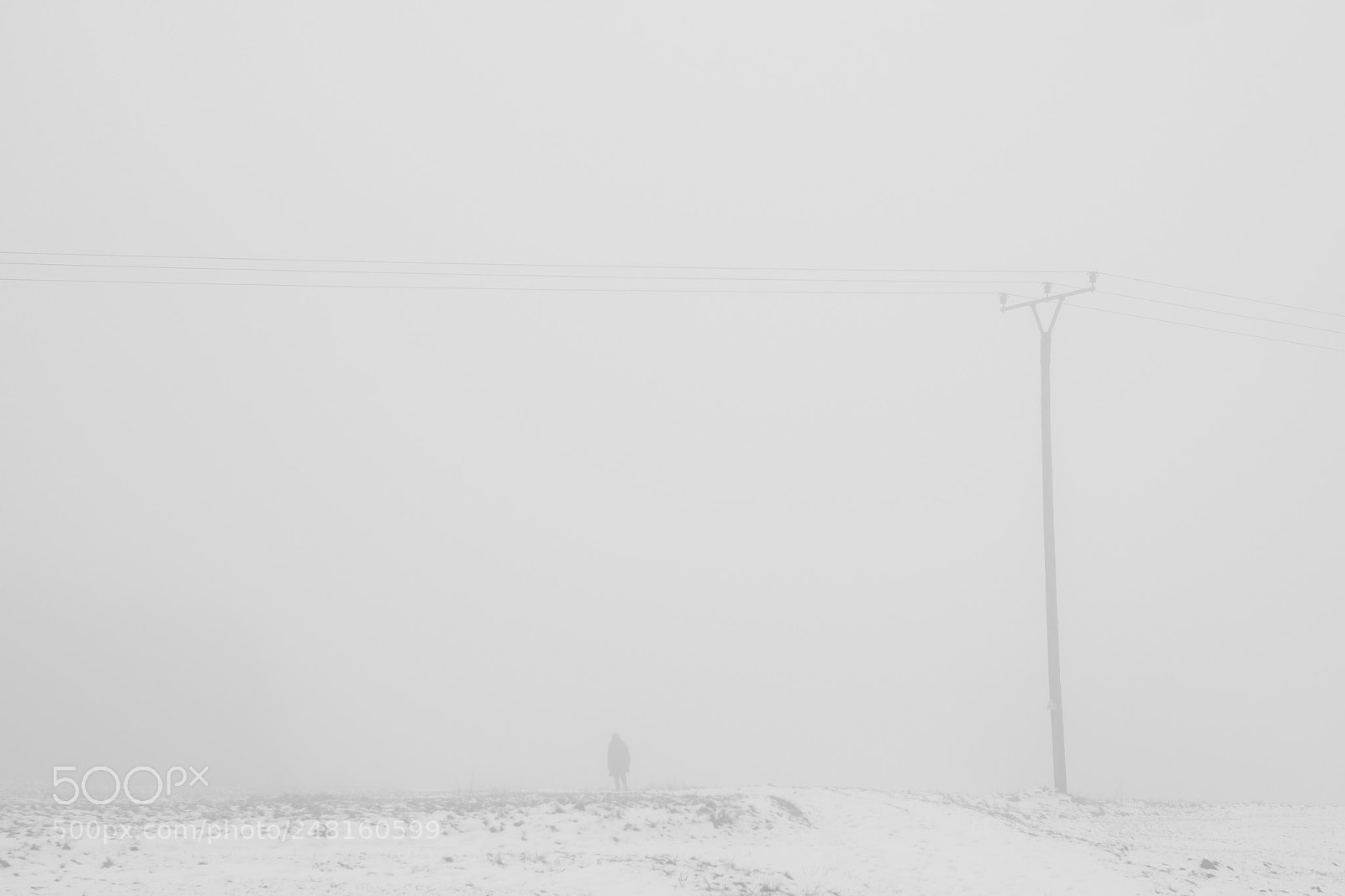 Fujifilm X-T1 sample photo. Walk in the fog photography