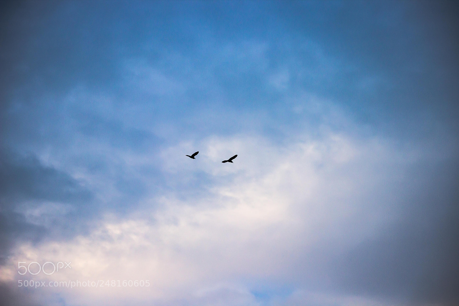 Canon EOS 600D (Rebel EOS T3i / EOS Kiss X5) sample photo. Sky at dawn photography