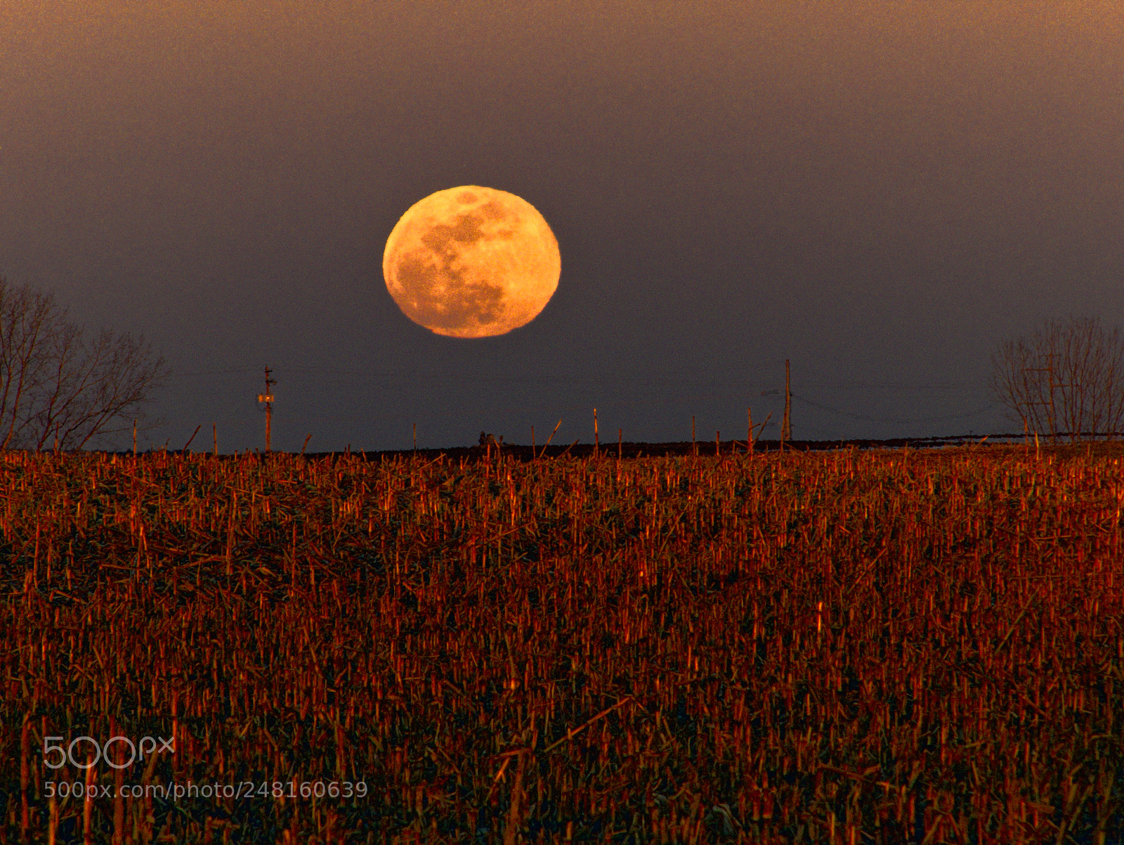 Panasonic Lumix DMC-FZ300 sample photo. Moon rise and sunset photography