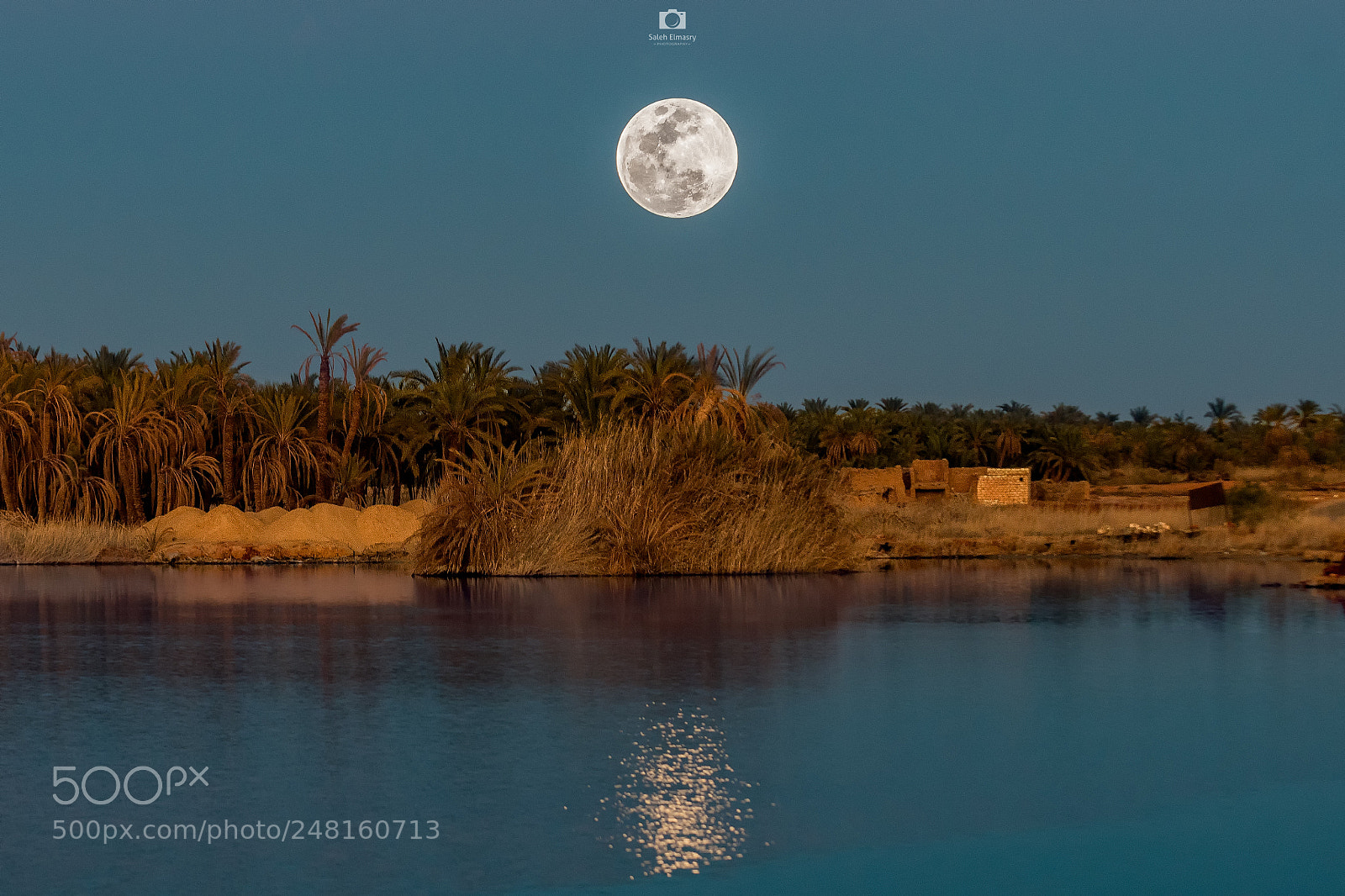 Nikon D800 sample photo. Full moon photography