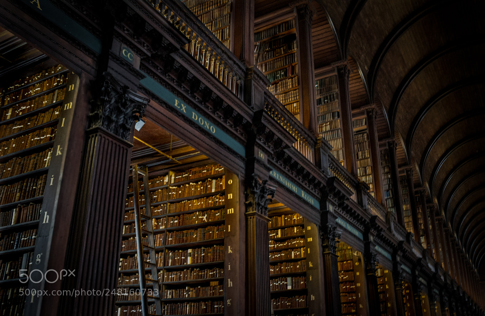 Canon EOS 1200D (EOS Rebel T5 / EOS Kiss X70 / EOS Hi) sample photo. Trinity college photography