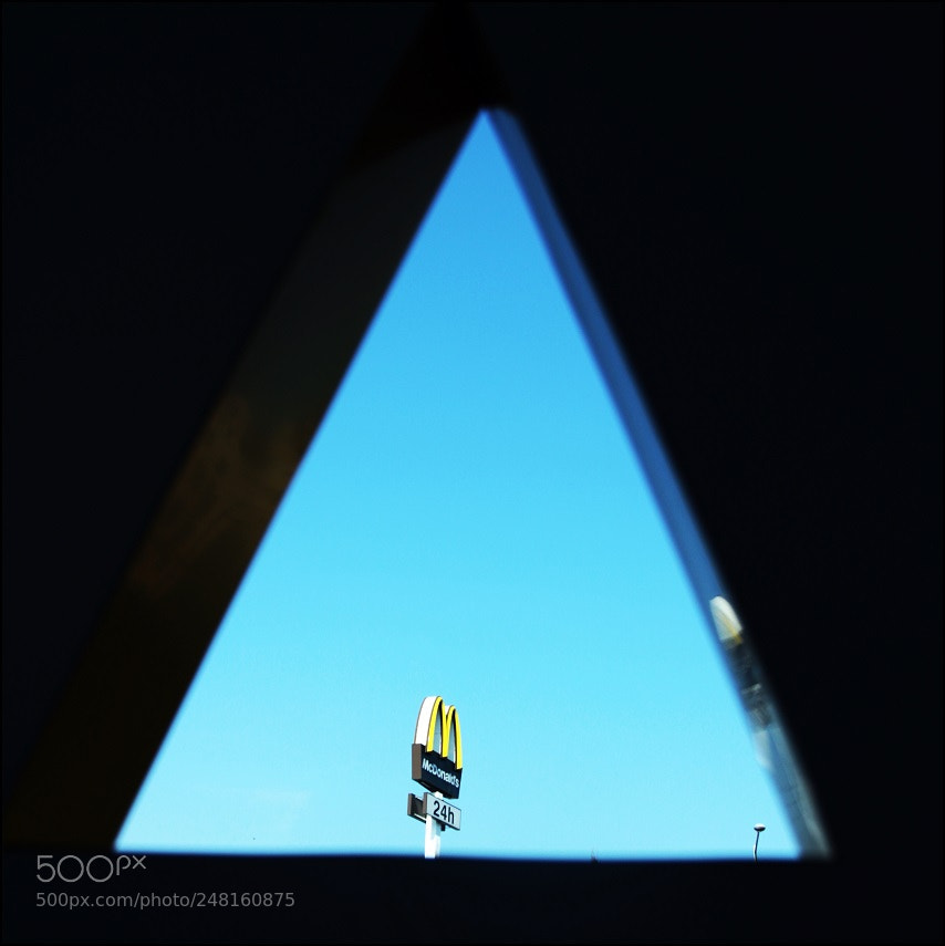 Canon EOS 7D Mark II sample photo. Untitled photography