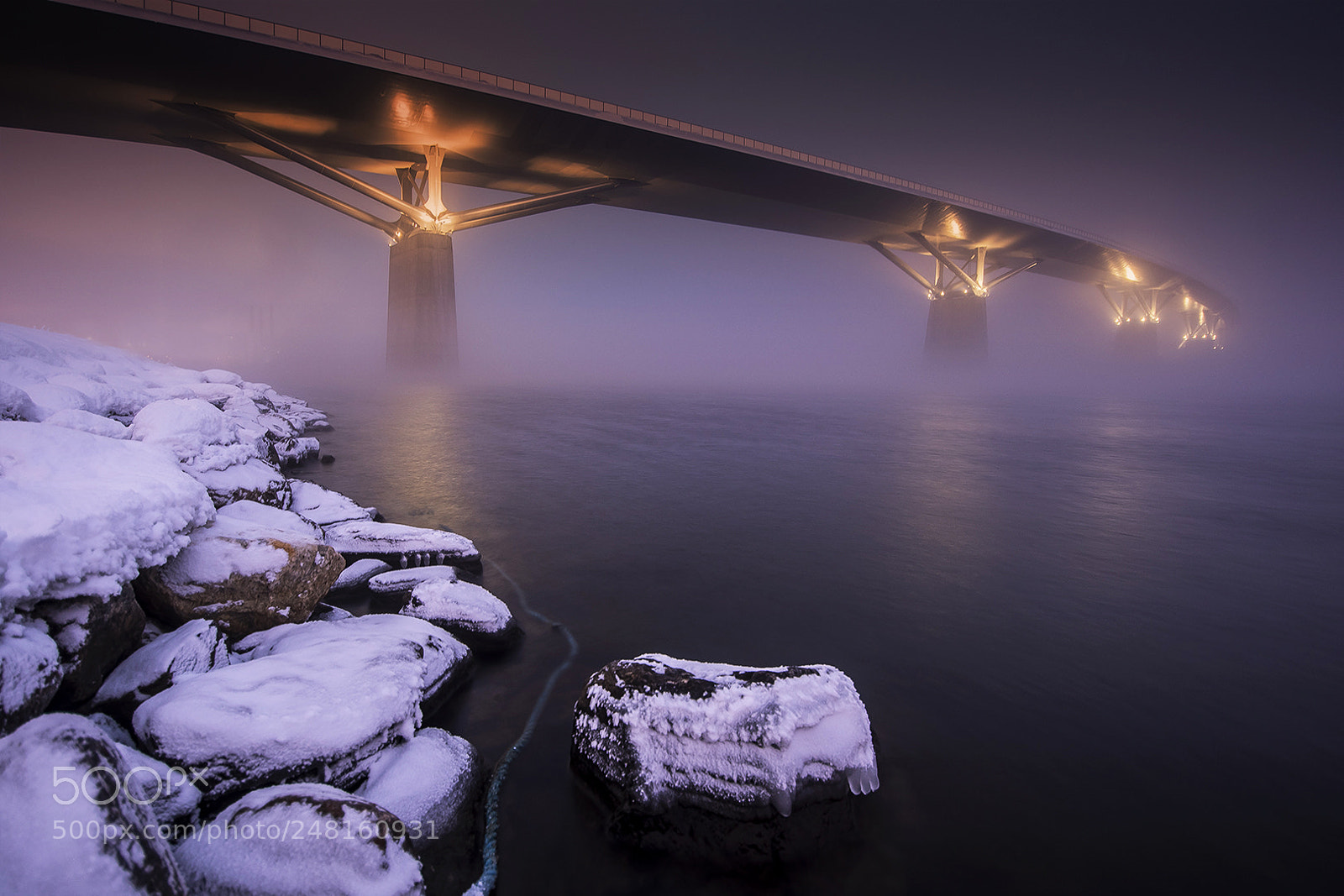 Nikon D500 sample photo. Doublekrum bridge photography