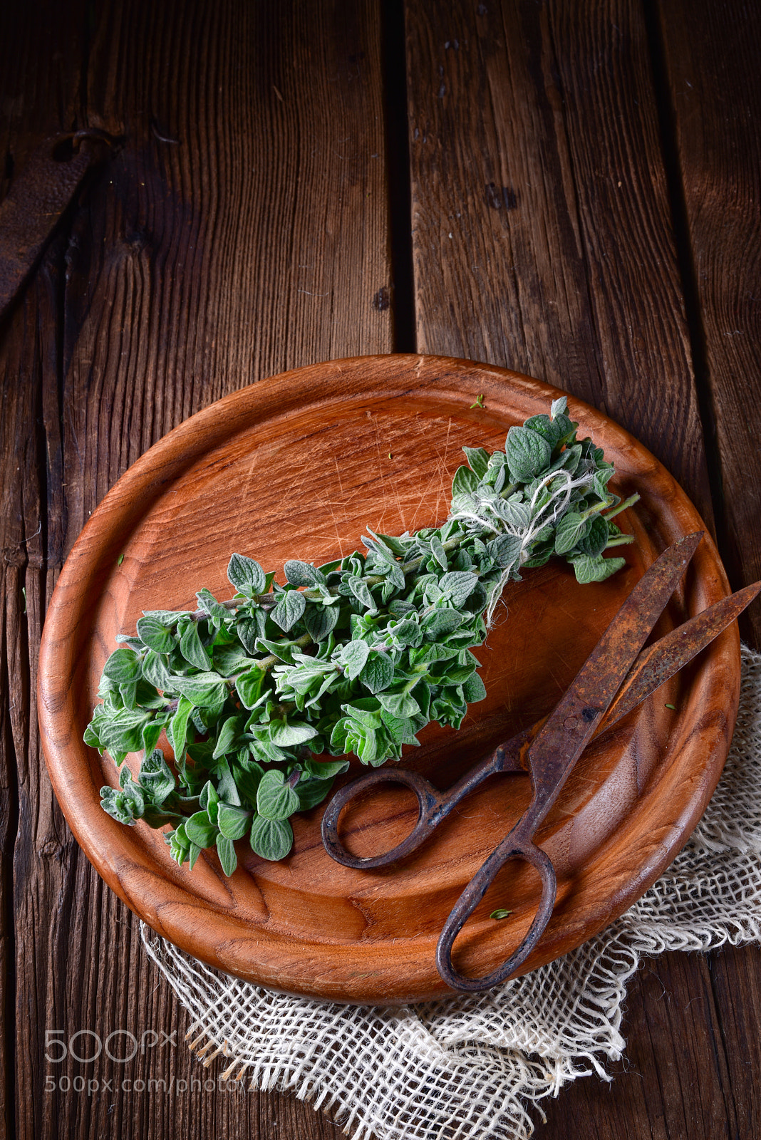 Nikon D810 sample photo. Aromatische oregano (origanum vulgare) photography