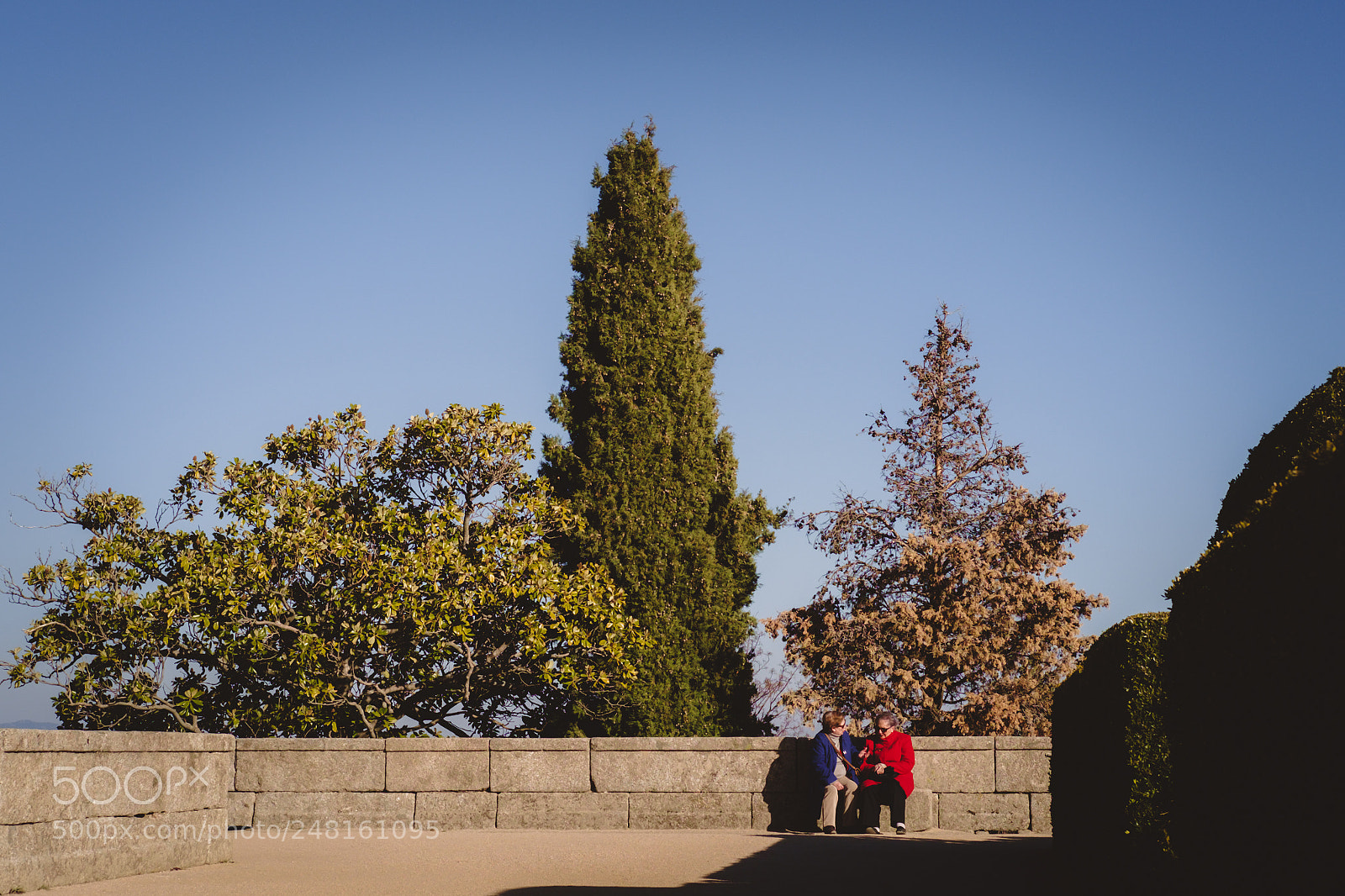 Fujifilm X-Pro1 sample photo. Jard n de los photography