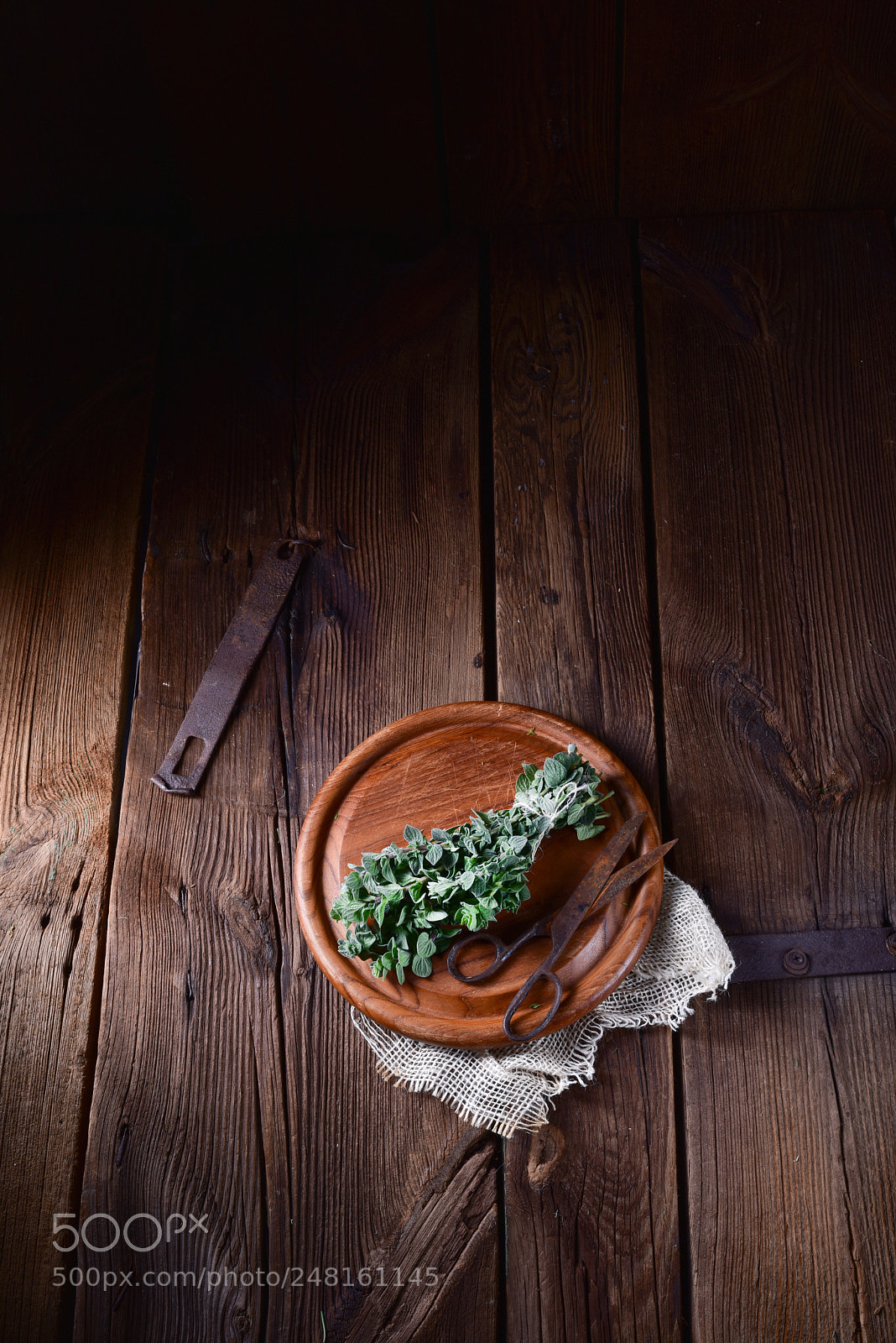 Nikon D810 sample photo. Aromatische oregano (origanum vulgare) photography
