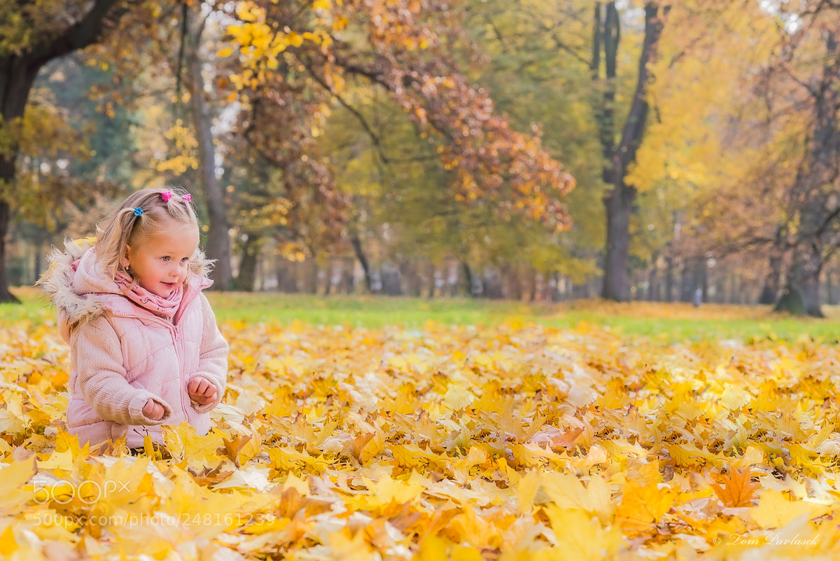 Nikon D600 sample photo. Child in autumn colors photography