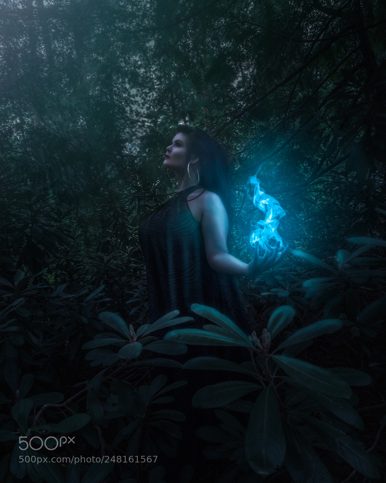 Olympus OM-D E-M1 sample photo. Forest magic photography