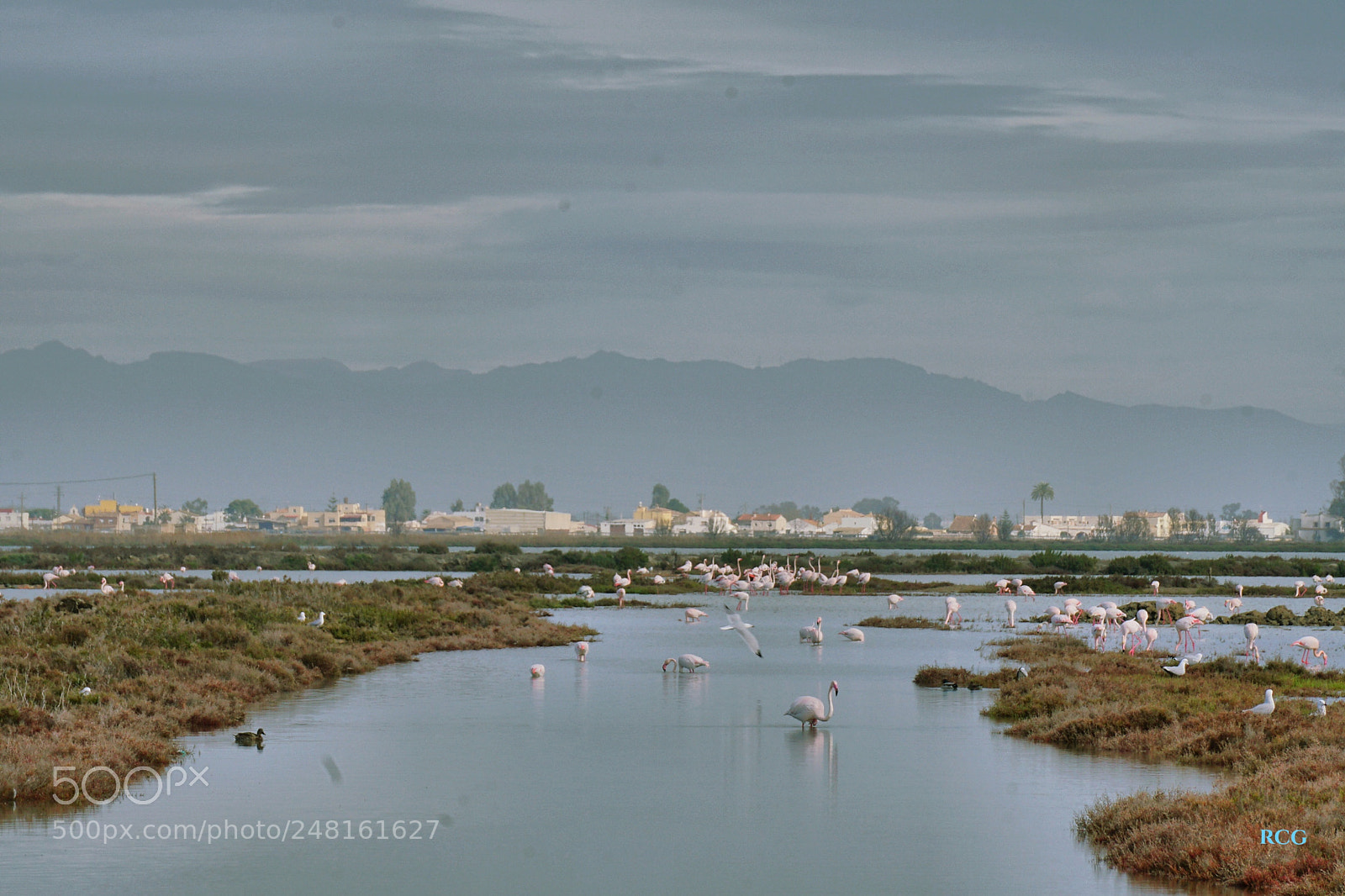Sony a6300 sample photo. Parque natural delta del photography