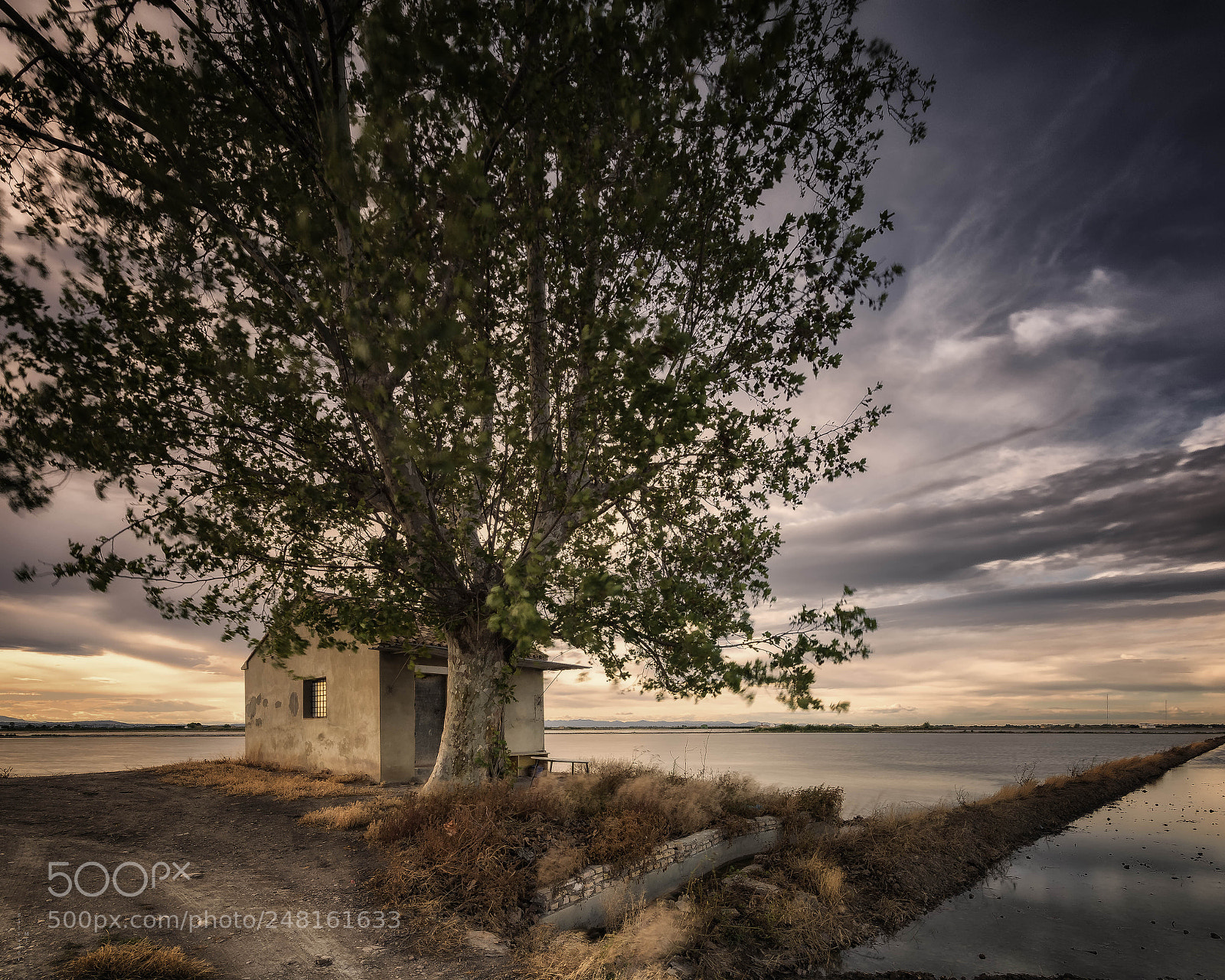 Nikon D7100 sample photo. A tree, a house photography