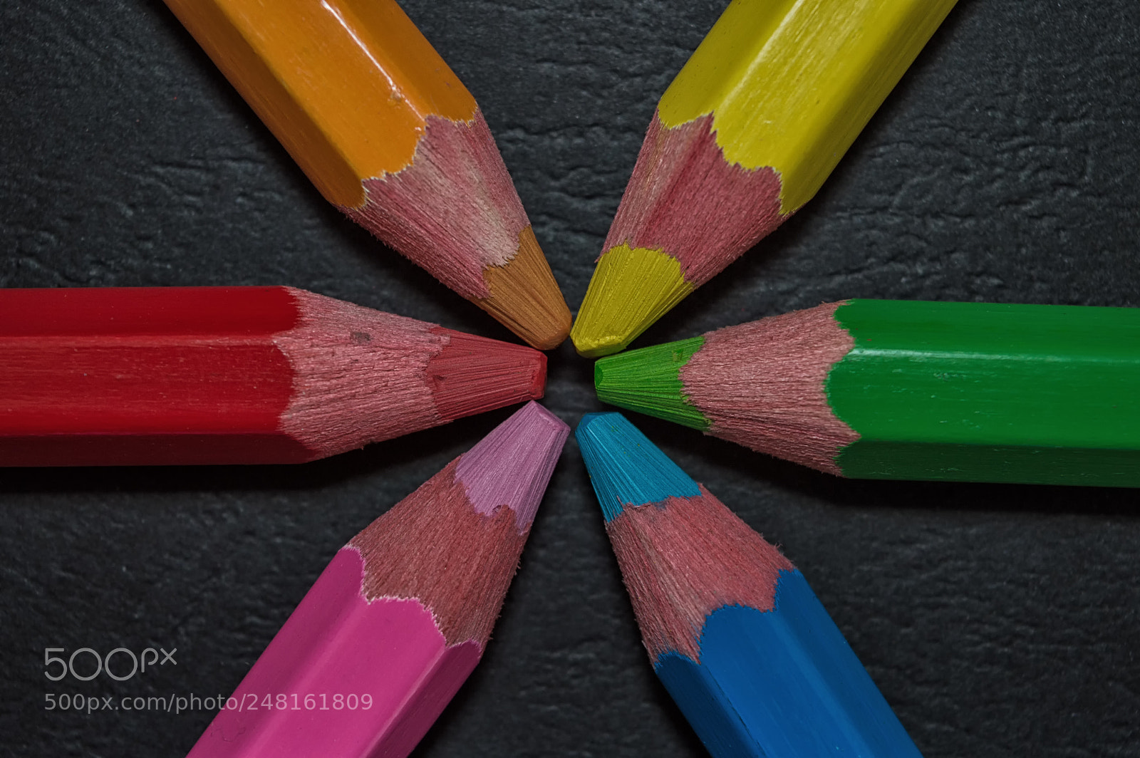 Nikon D3200 sample photo. Color my day photography