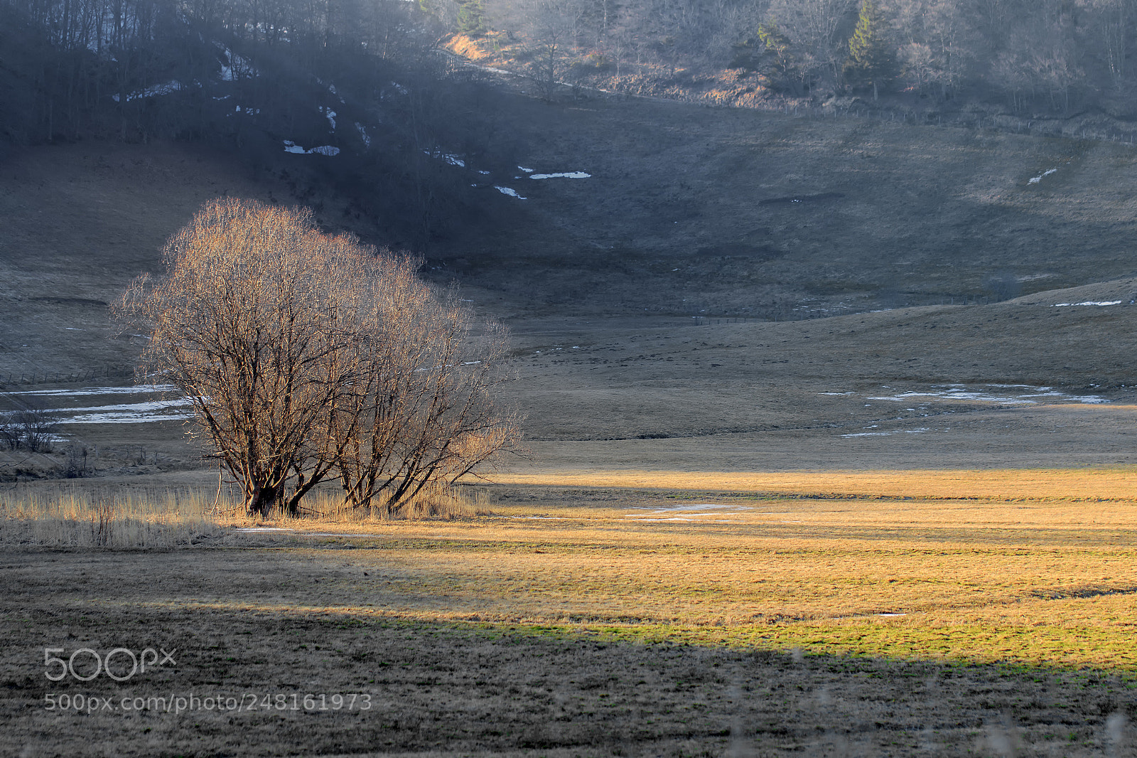 Canon EOS 7D Mark II sample photo. 6k7a6852_1.jpg photography