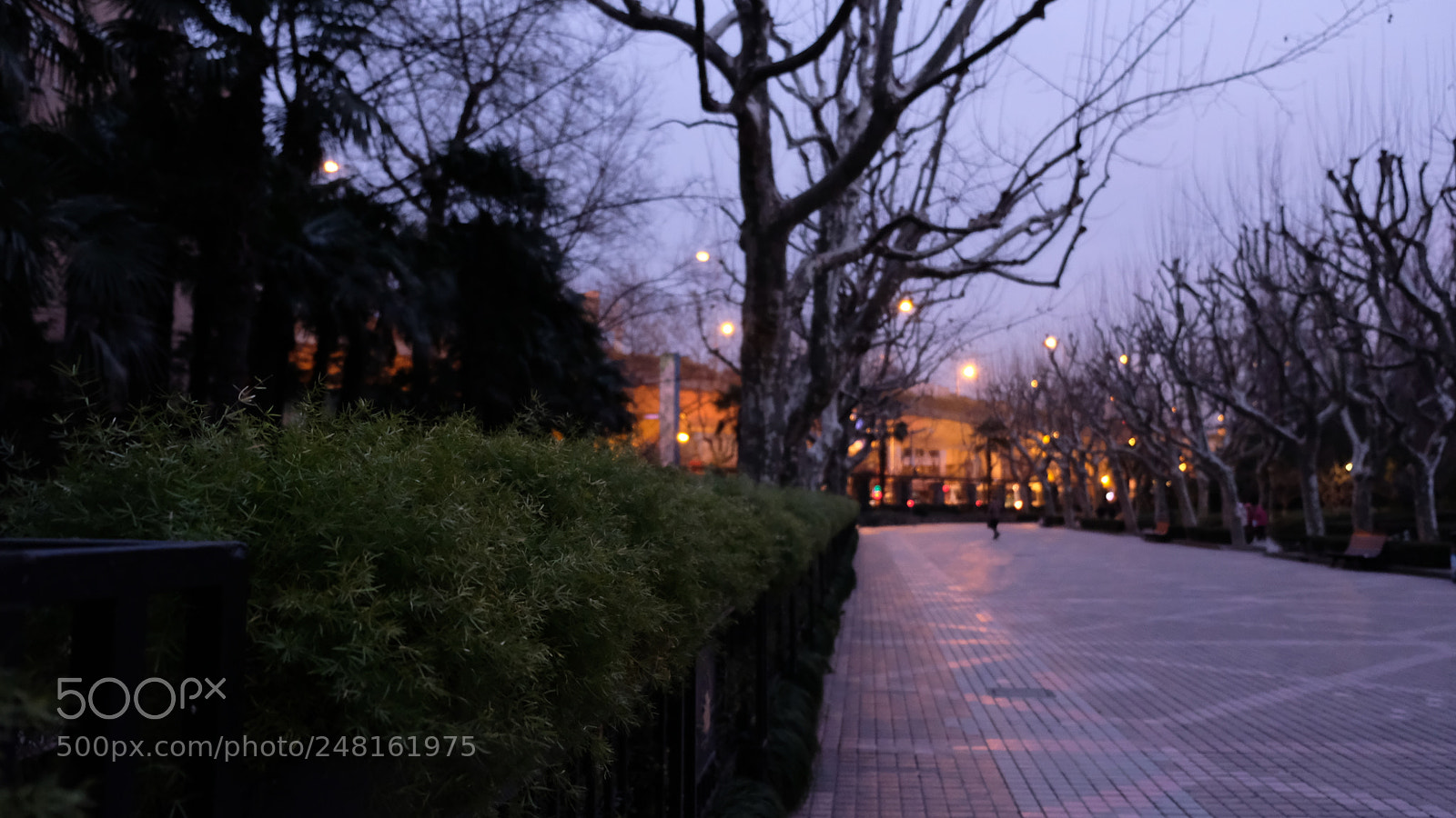 Fujifilm X-T20 sample photo. Luxun park photography