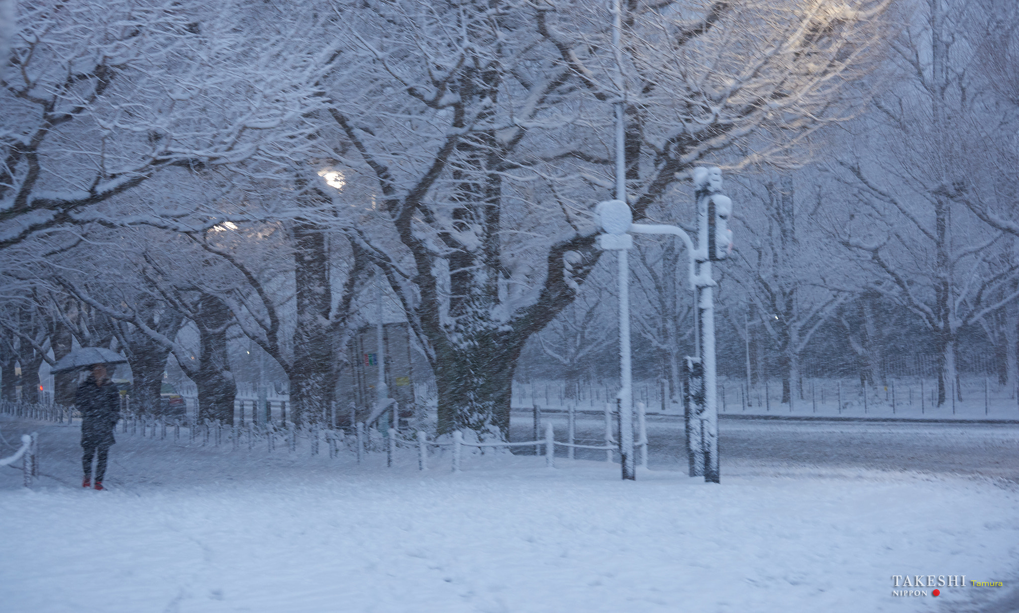 Nikon D810 sample photo. January 22nd tokyo photography