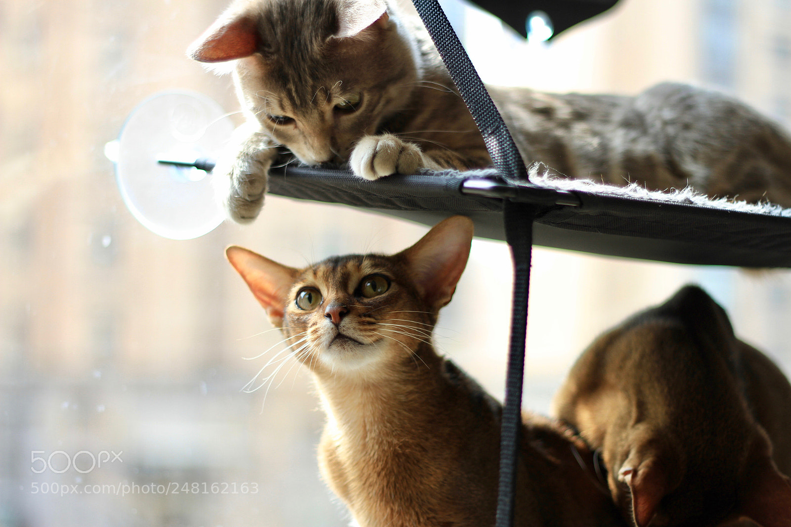 Canon EOS 7D sample photo. Relax time. photography