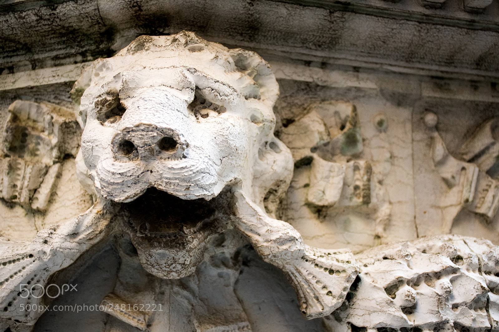 Nikon D7500 sample photo. Lion of venice photography