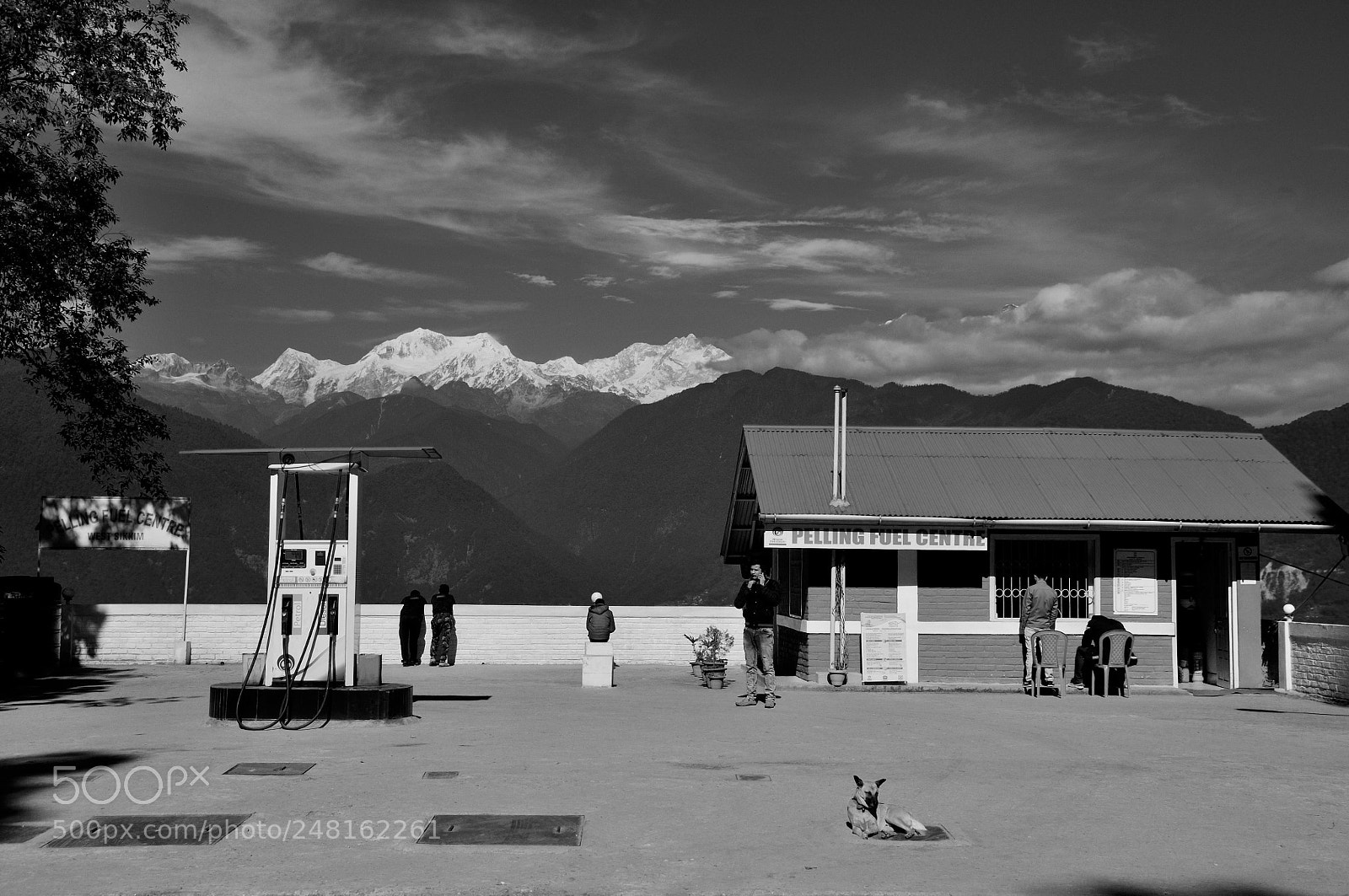 Nikon D300S sample photo. Gas station,pelling photography