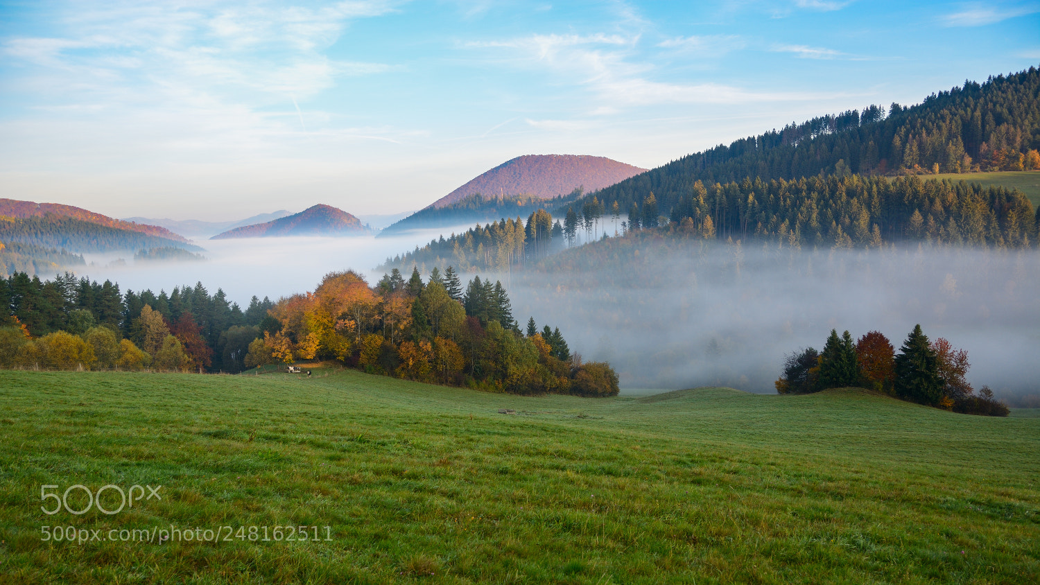 Nikon D7100 sample photo. Zastranie photography