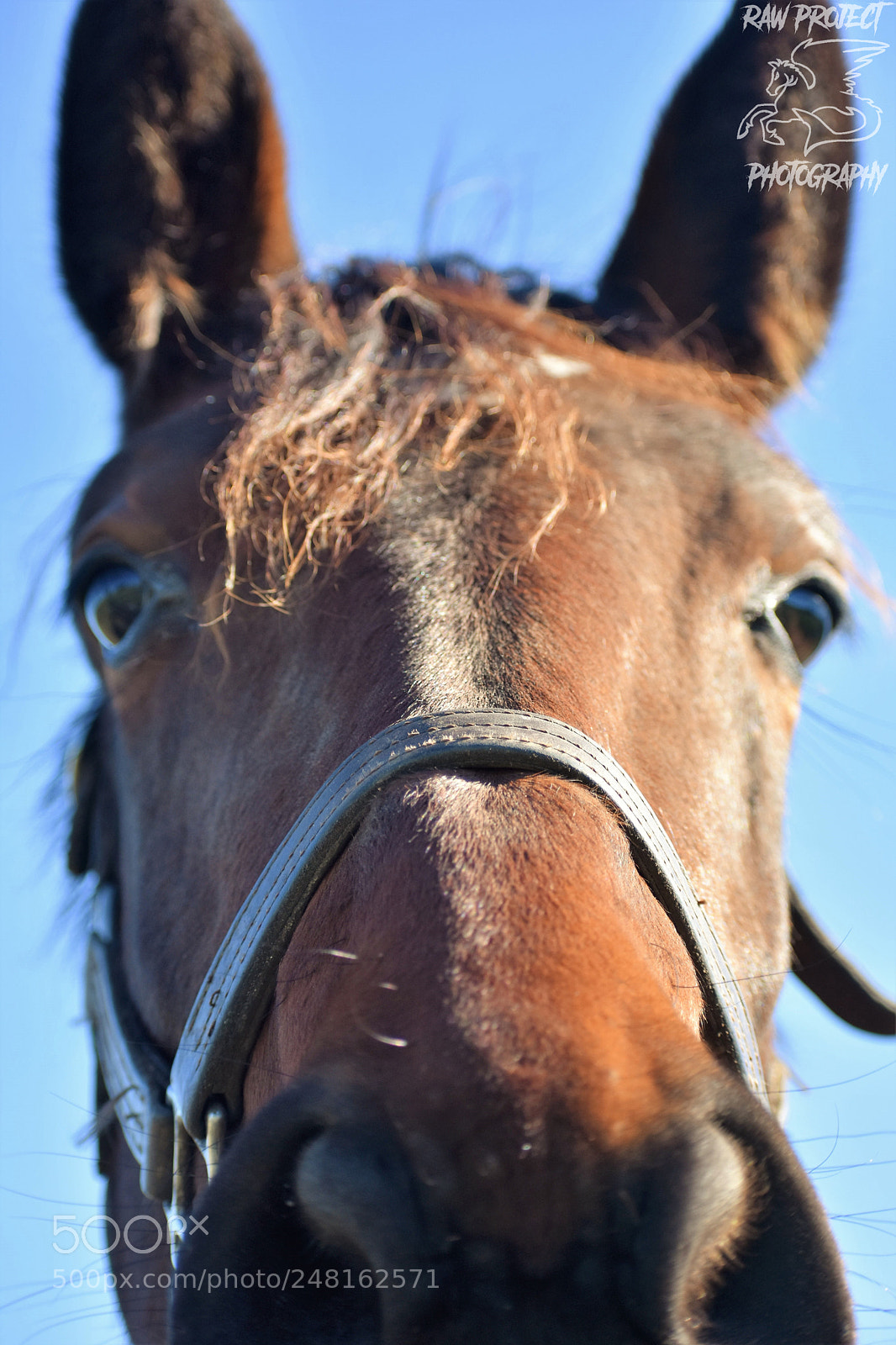 Nikon D3400 sample photo. () photography