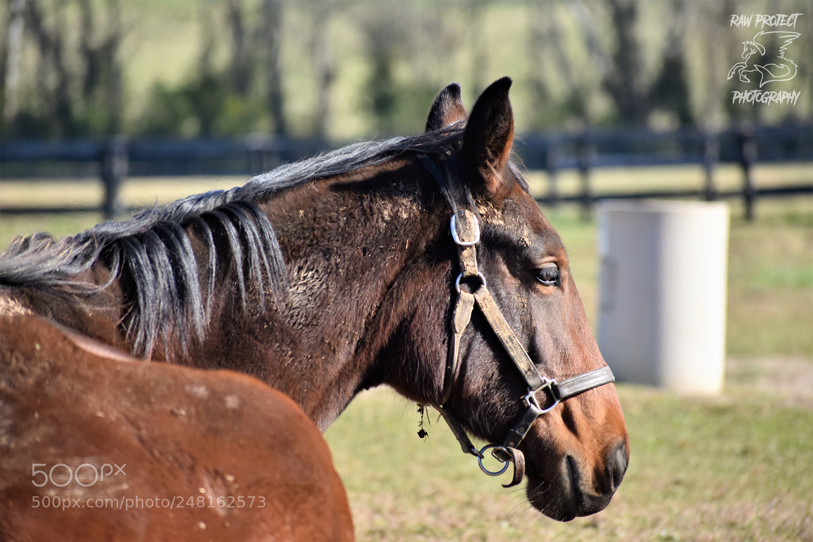 Nikon D3400 sample photo. () photography